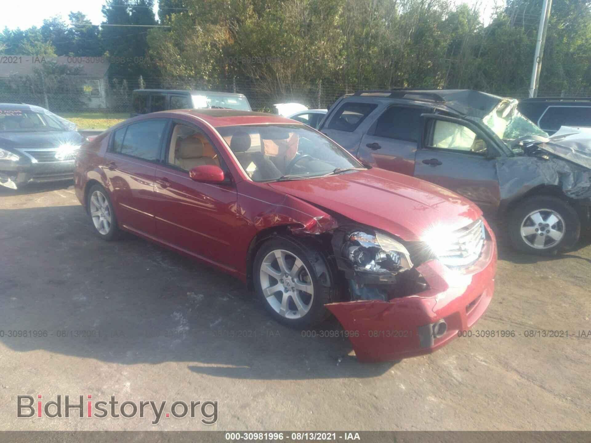 Photo 1N4BA41E68C814970 - NISSAN MAXIMA 2008