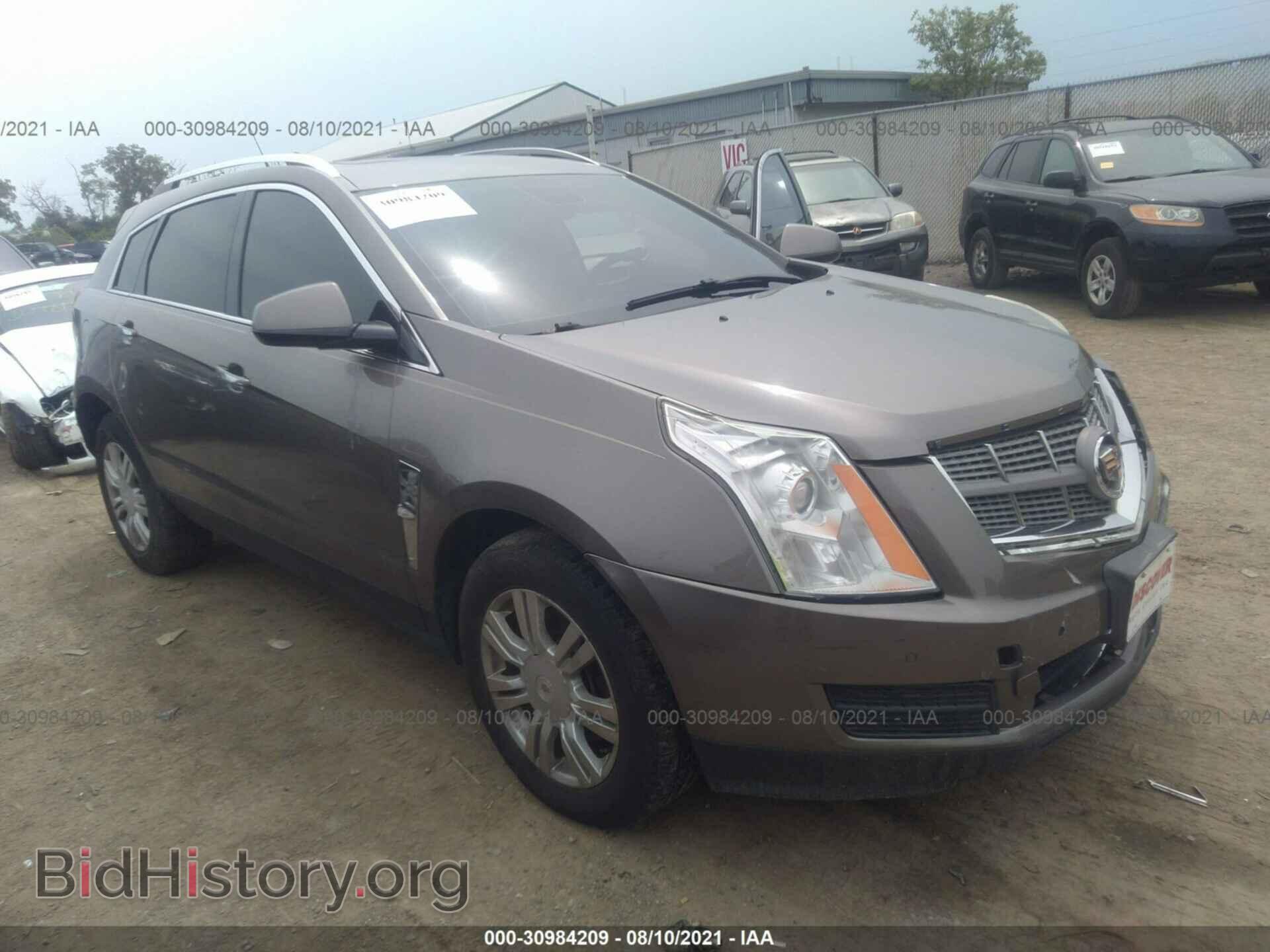 Photo 3GYFNDEY2BS521762 - CADILLAC SRX 2011
