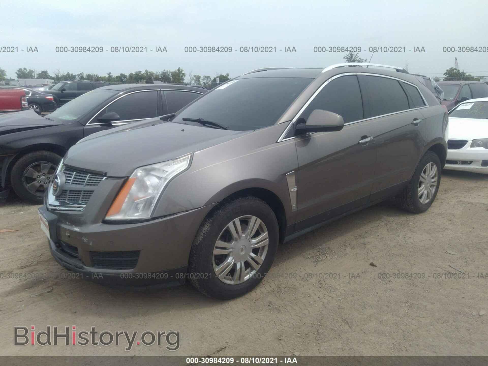 2011 CADILLAC SRX - VIN: 3GYFNDEY2BS521762 - Фото 2