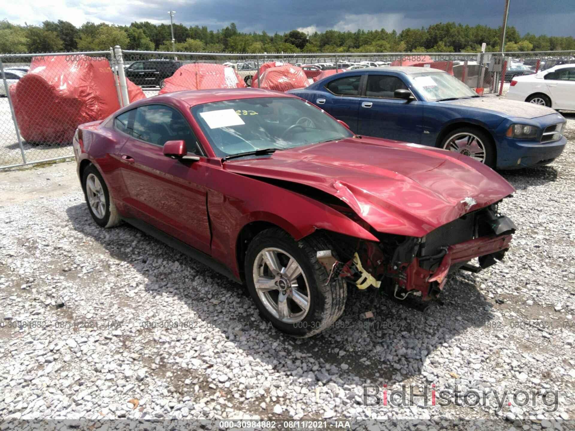 Photo 1FA6P8AM4H5300702 - FORD MUSTANG 2017