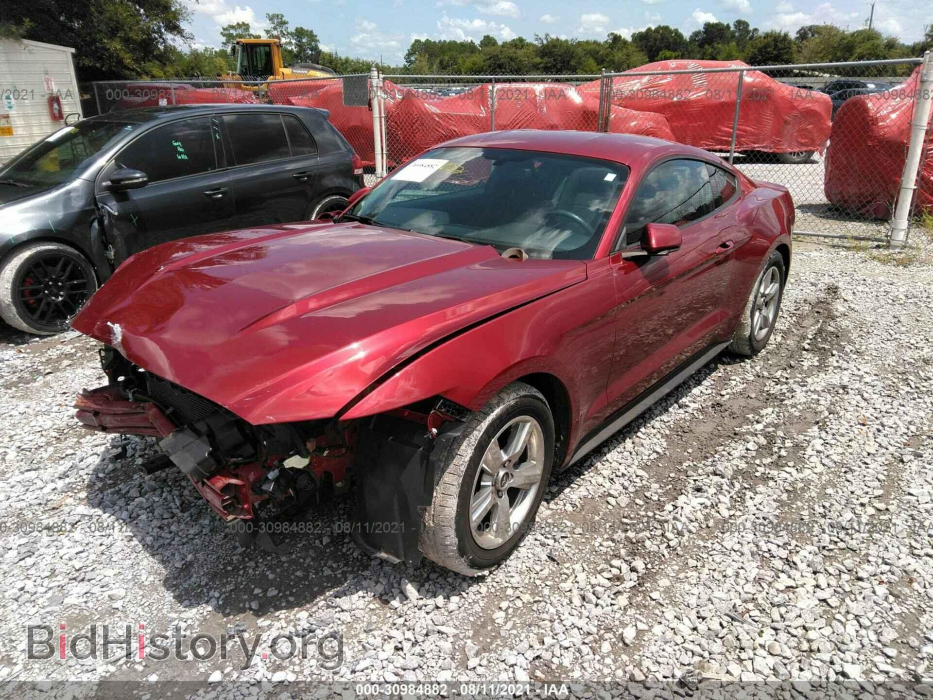 2017 FORD MUSTANG - VIN: 1FA6P8AM4H5300702 - Фото 2