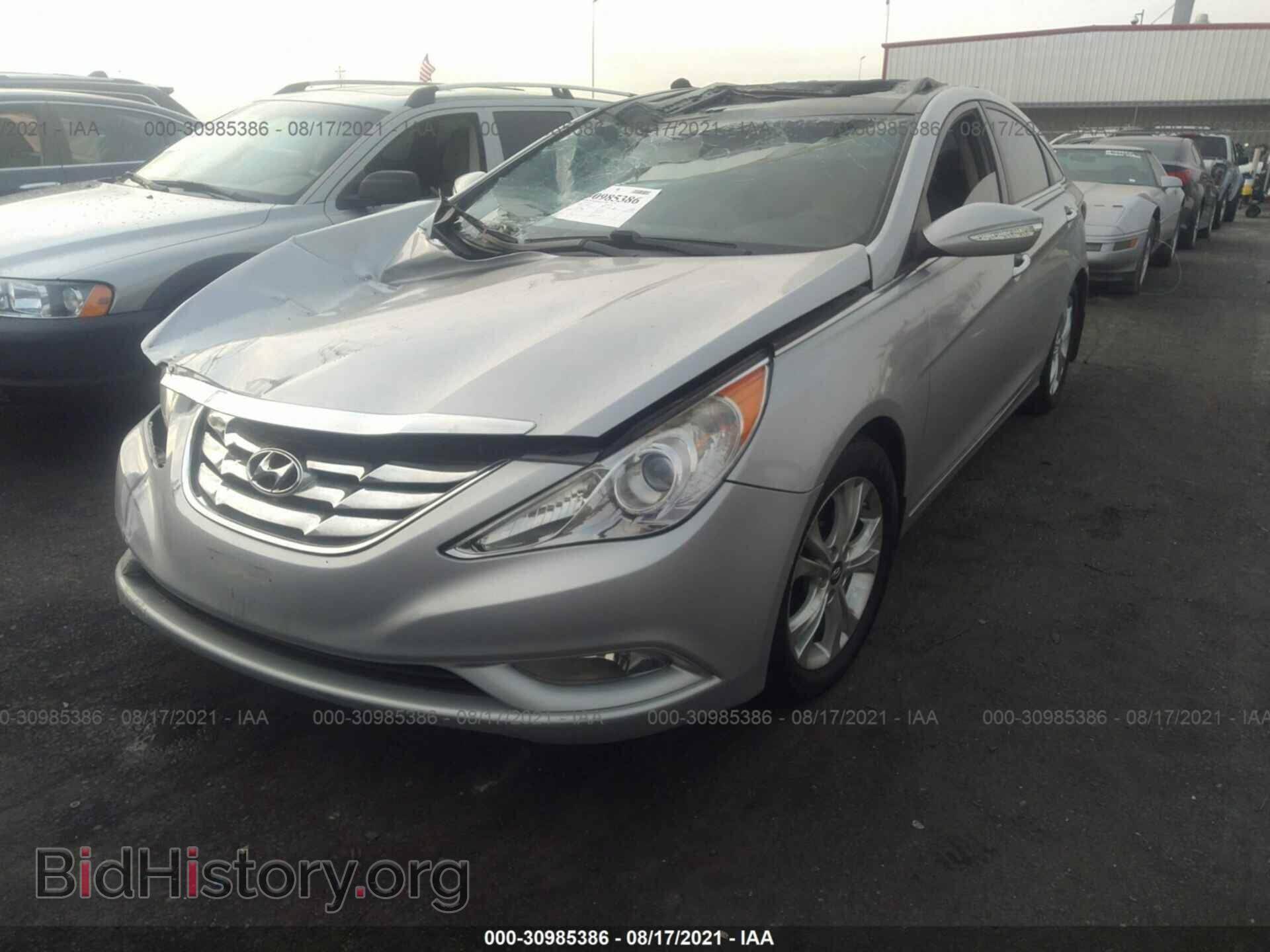 2013 HYUNDAI SONATA - VIN: 5NPEC4AC7DH605316 - Фото 2