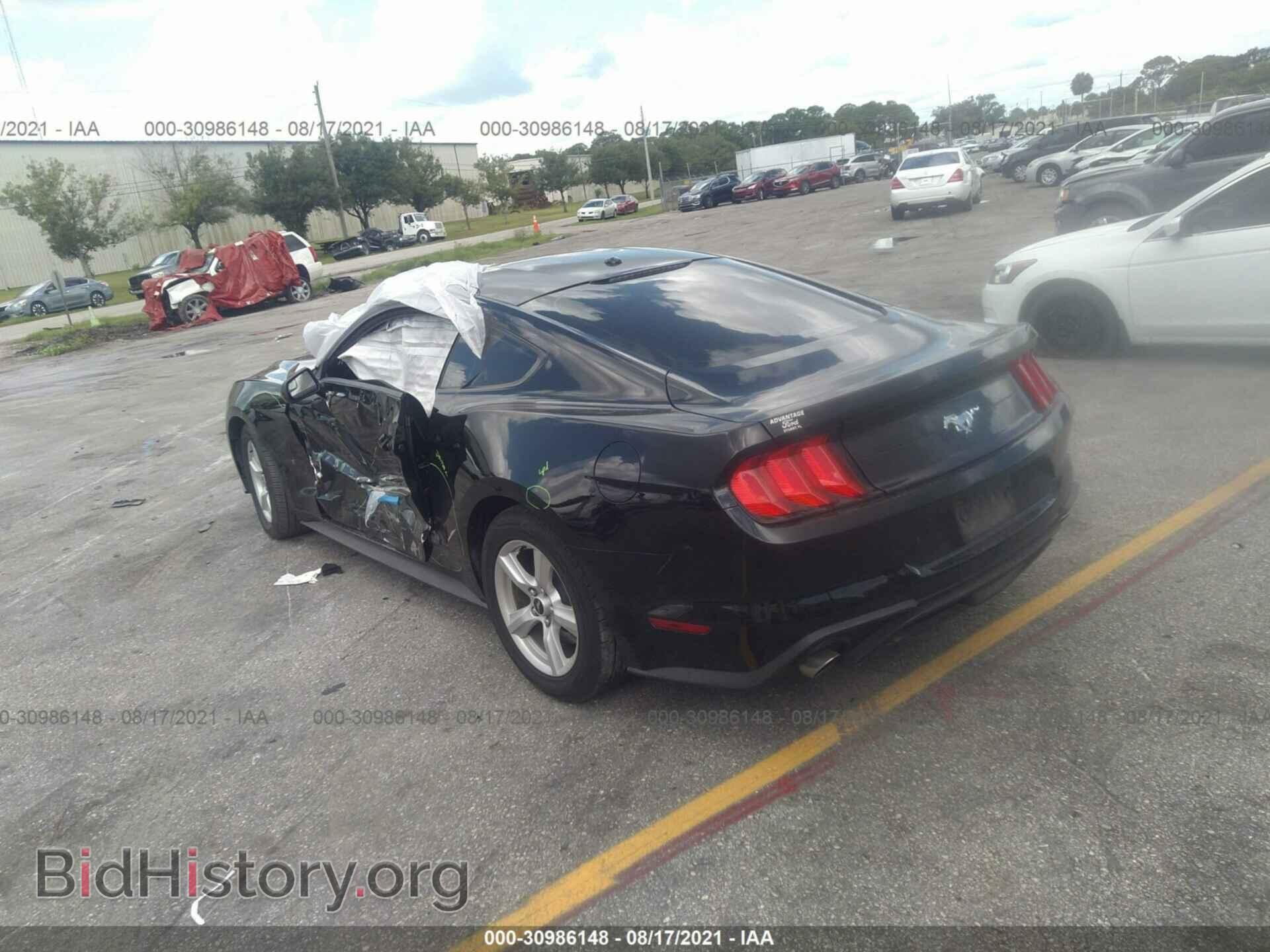 2019 FORD MUSTANG - VIN: 1FA6P8TH8K5203834 - Фото 3
