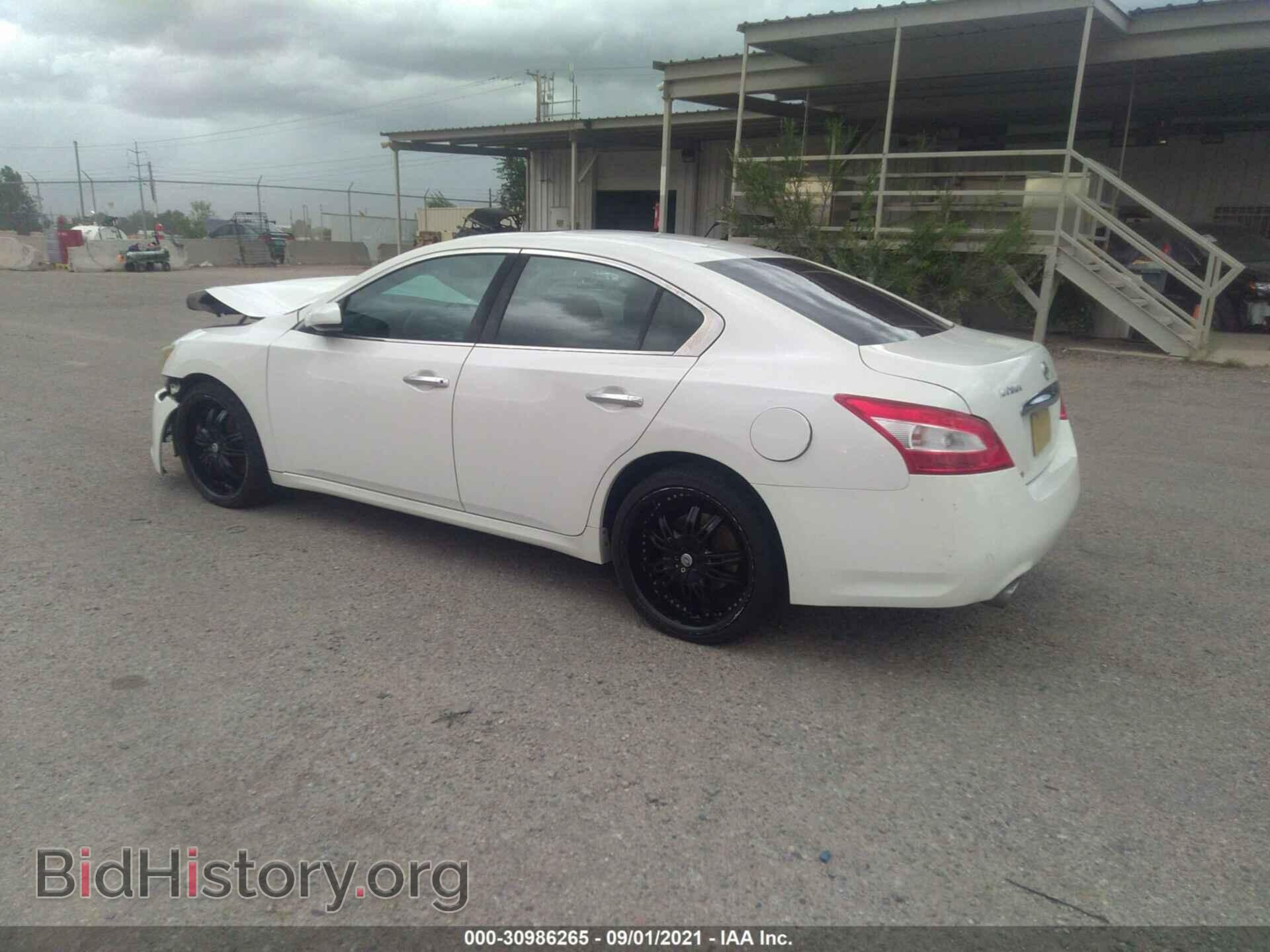 2010 NISSAN MAXIMA - VIN: 1N4AA5APXAC856177 - Фото 3