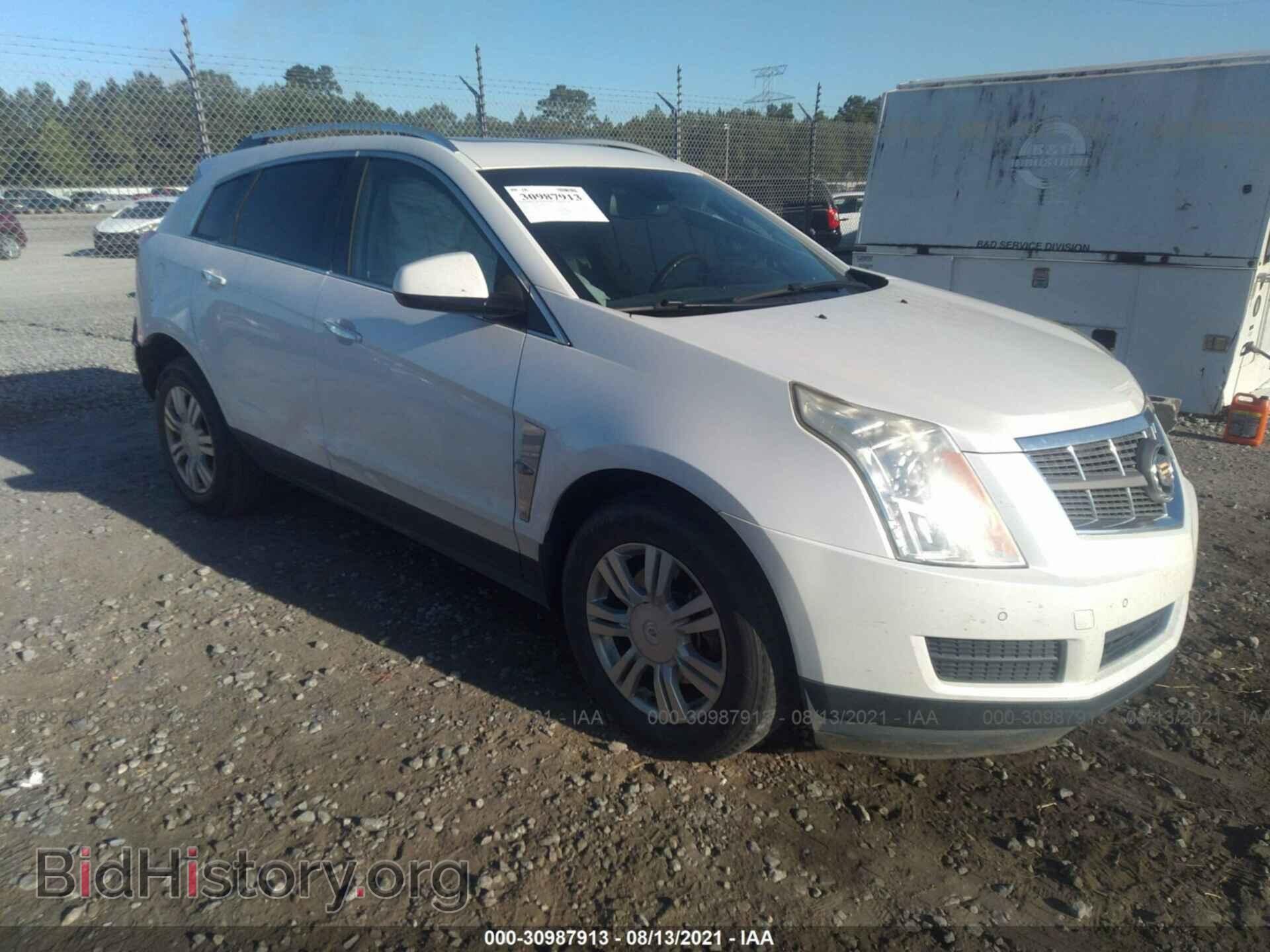 Photo 3GYFNAEY6BS537297 - CADILLAC SRX 2011