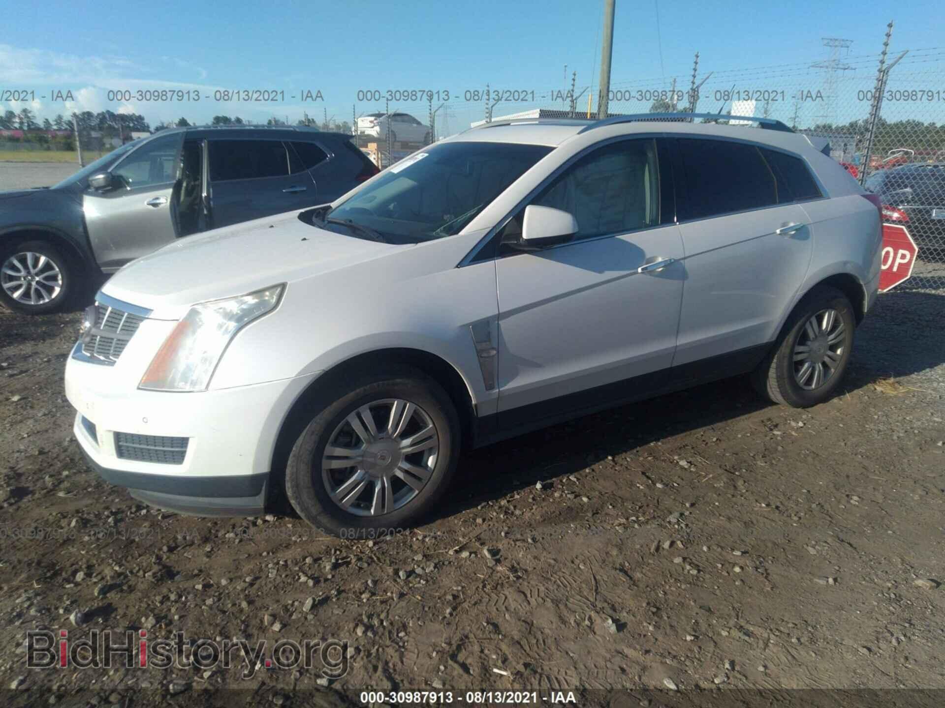 2011 CADILLAC SRX - VIN: 3GYFNAEY6BS537297 - Фото 2