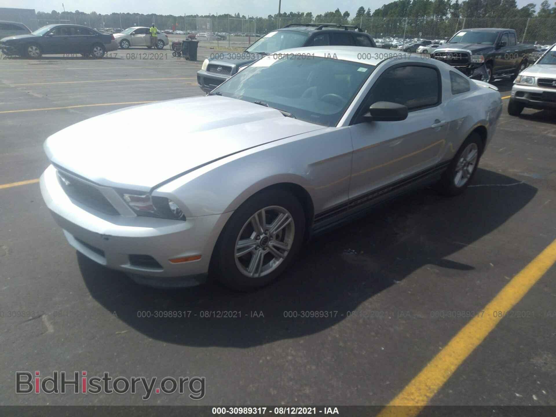 2011 FORD MUSTANG - VIN: 1ZVBP8AM7B5131918 - Фото 2