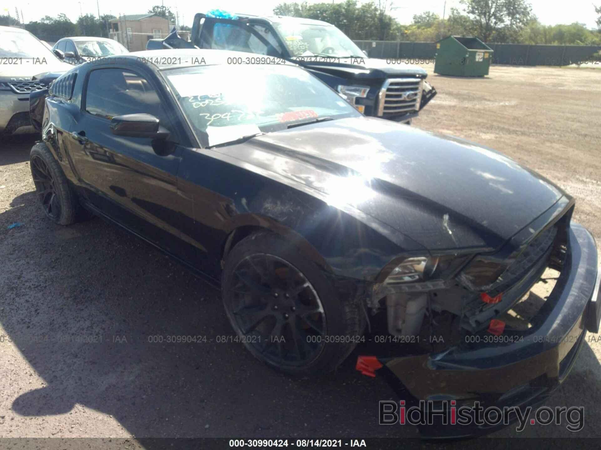 Photo 1ZVBP8AM5E5304789 - FORD MUSTANG 2014