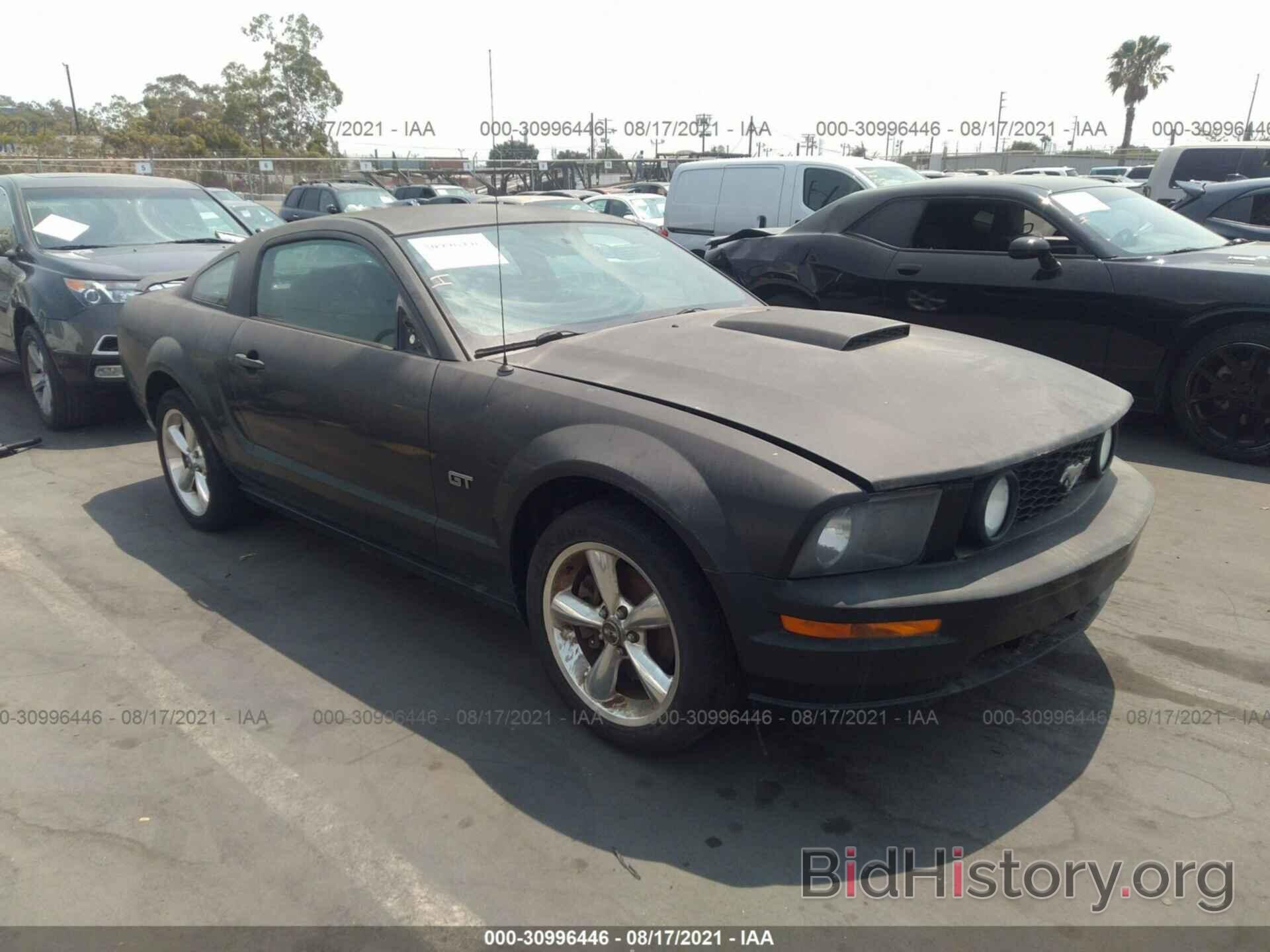 Photo 1ZVHT82H375362958 - FORD MUSTANG 2007