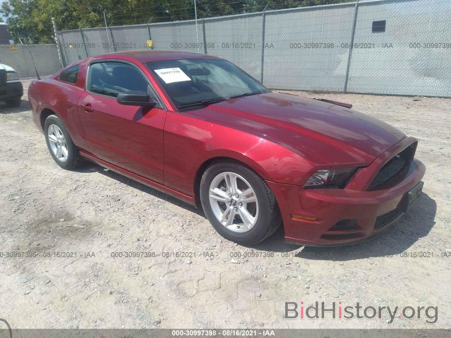 Photo 1ZVBP8AM2E5207484 - FORD MUSTANG 2014