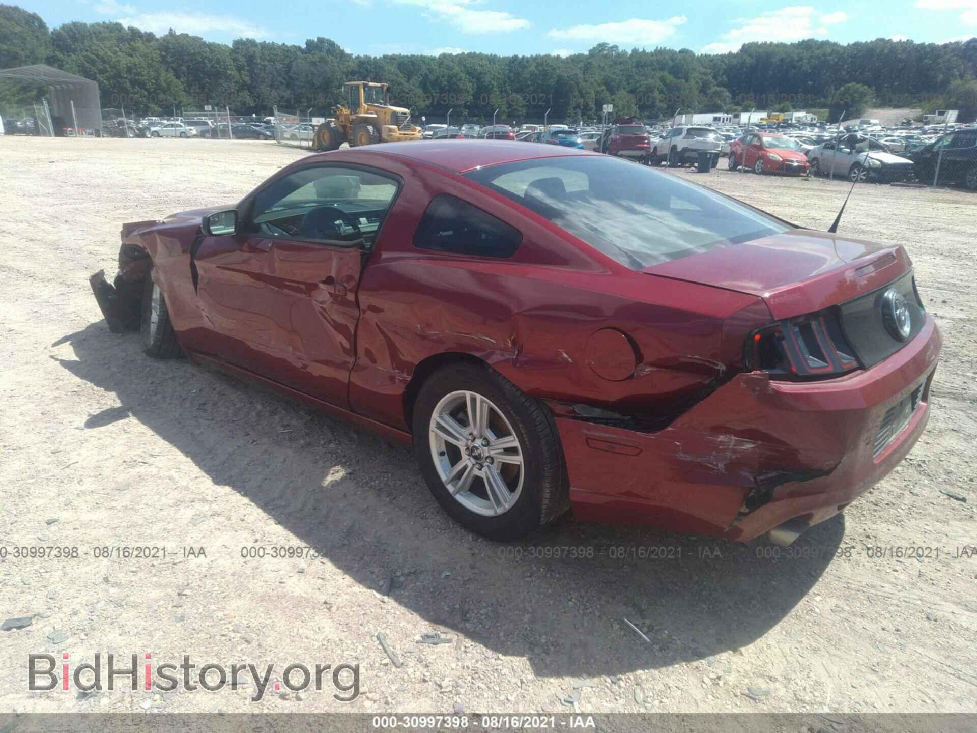 2014 FORD MUSTANG - VIN: 1ZVBP8AM2E5207484 - Фото 3