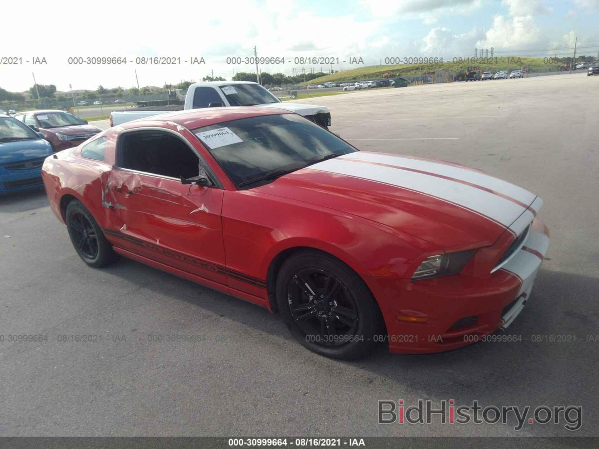 Photo 1ZVBP8AM8E5242904 - FORD MUSTANG 2014