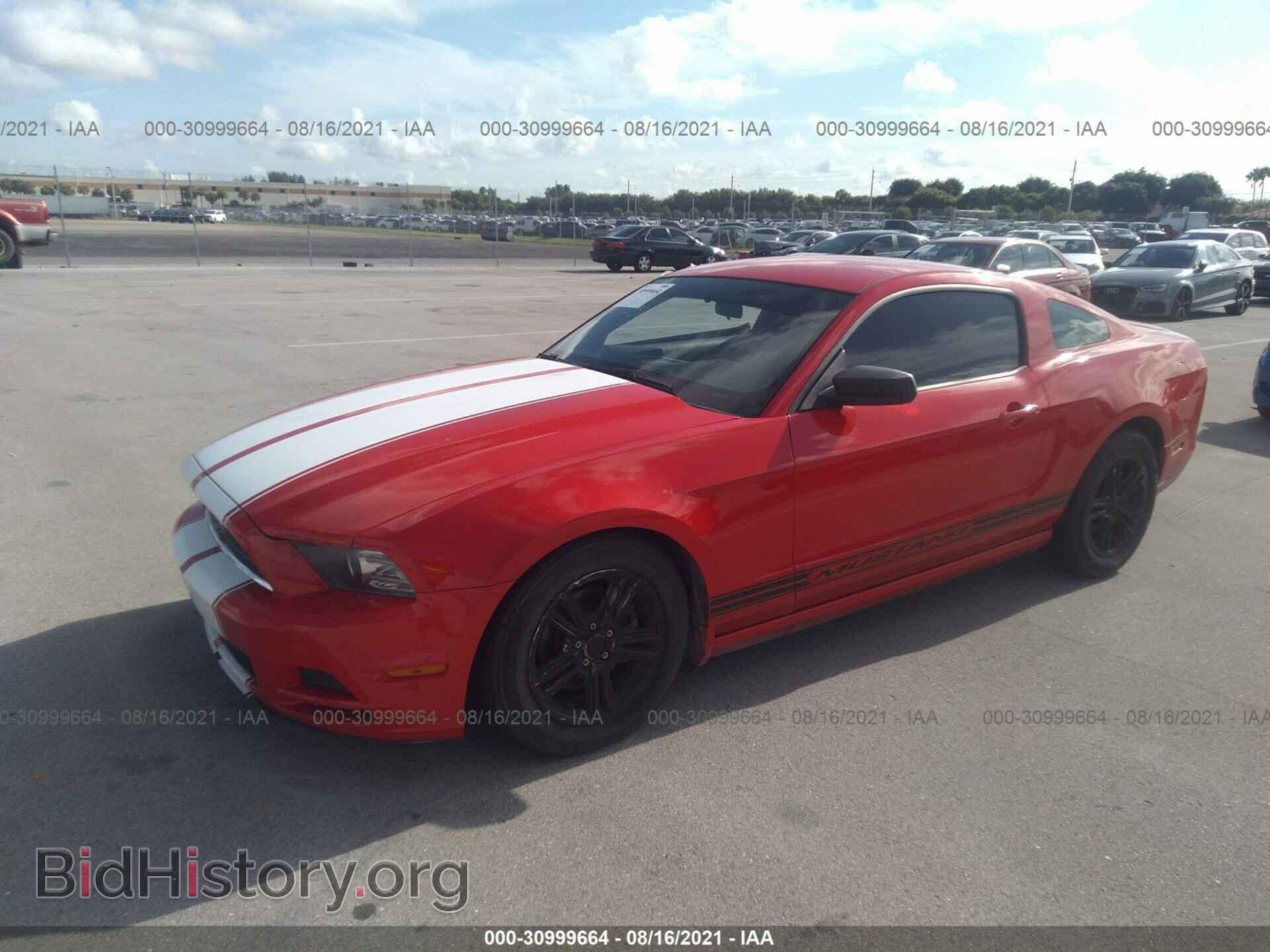 2014 FORD MUSTANG - VIN: 1ZVBP8AM8E5242904 - Фото 2
