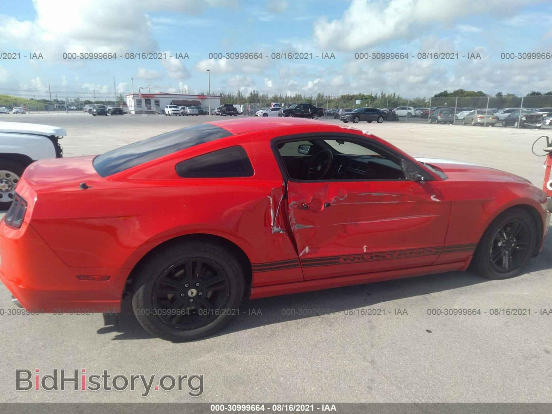 2014 FORD MUSTANG - VIN: 1ZVBP8AM8E5242904 - Фото 6