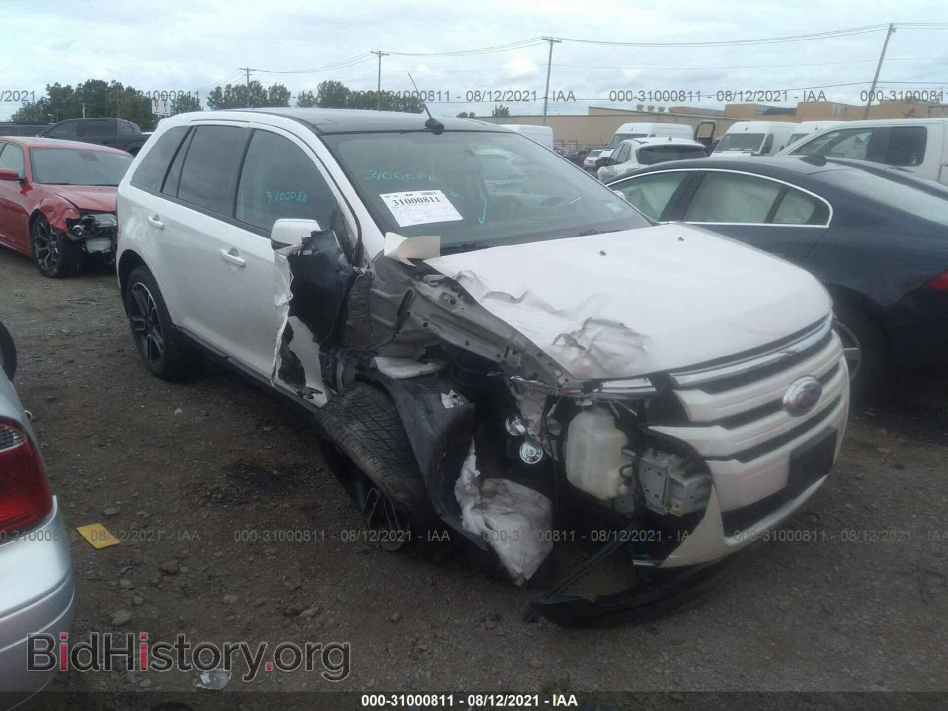 Photo 2FMDK3JC8DBE19901 - FORD EDGE 2013
