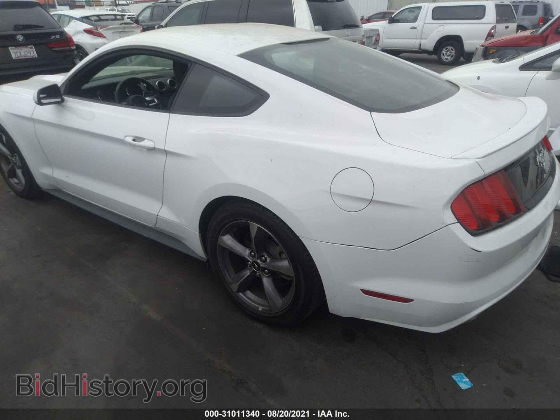 2016 FORD MUSTANG - VIN: 1FA6P8AM5G5243473 - Фото 3