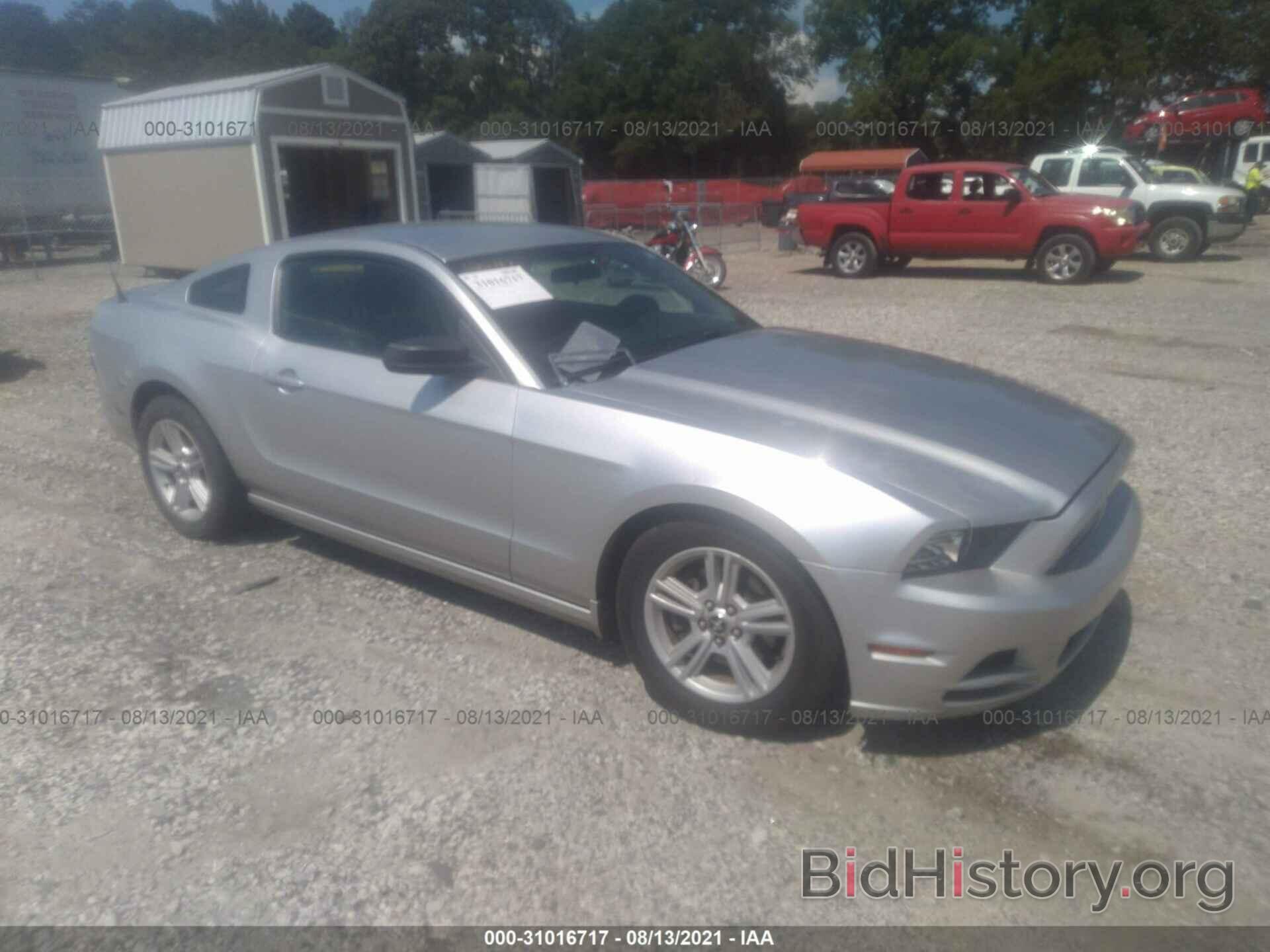 Photo 1ZVBP8AM5E5266898 - FORD MUSTANG 2014