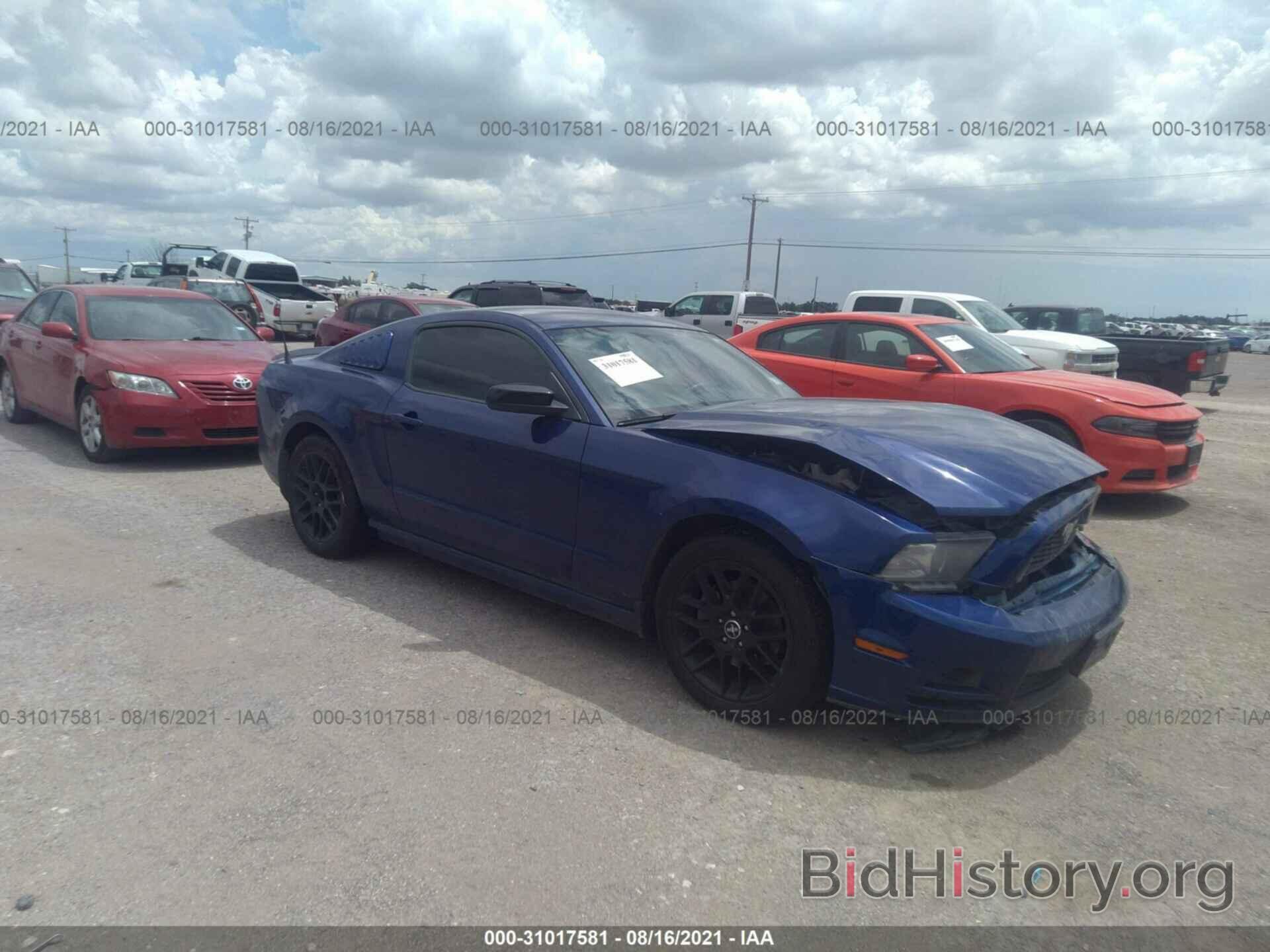 Photo 1ZVBP8AM7E5278020 - FORD MUSTANG 2014