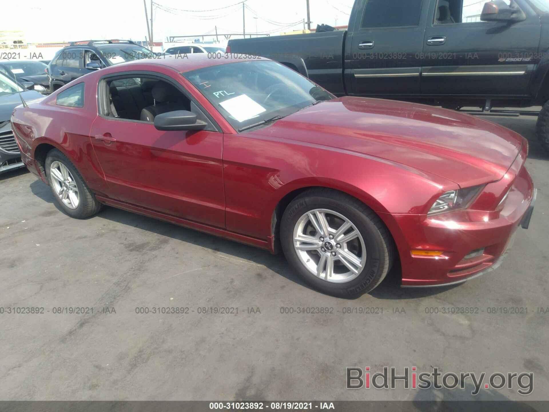 Photo 1ZVBP8AM2E5321436 - FORD MUSTANG 2014
