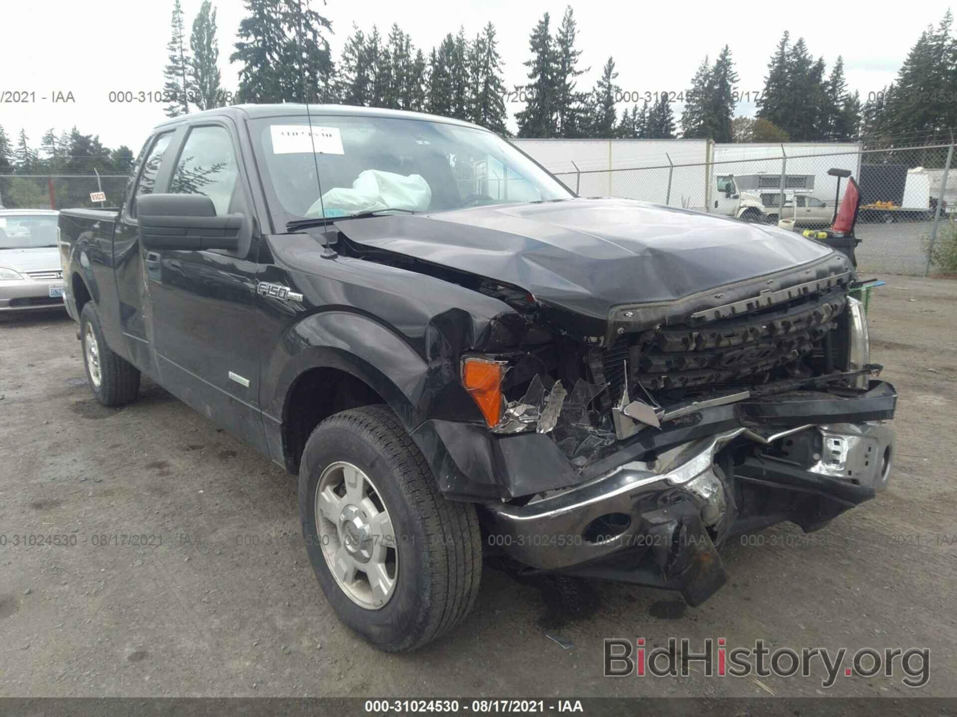 Photo 1FTFX1CT4CFD06234 - FORD F-150 2012