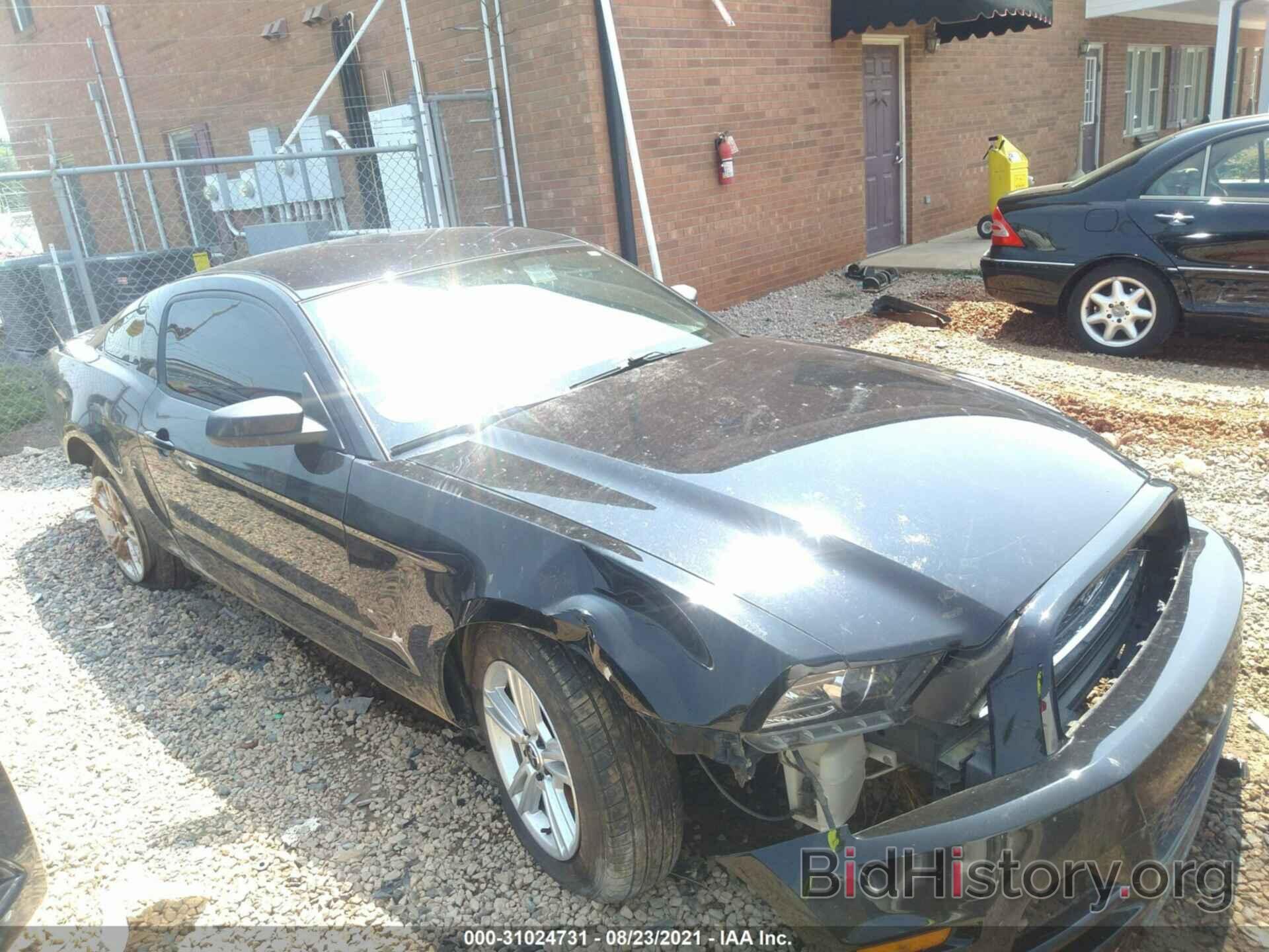 Photo 1ZVBP8AM3E5312938 - FORD MUSTANG 2014
