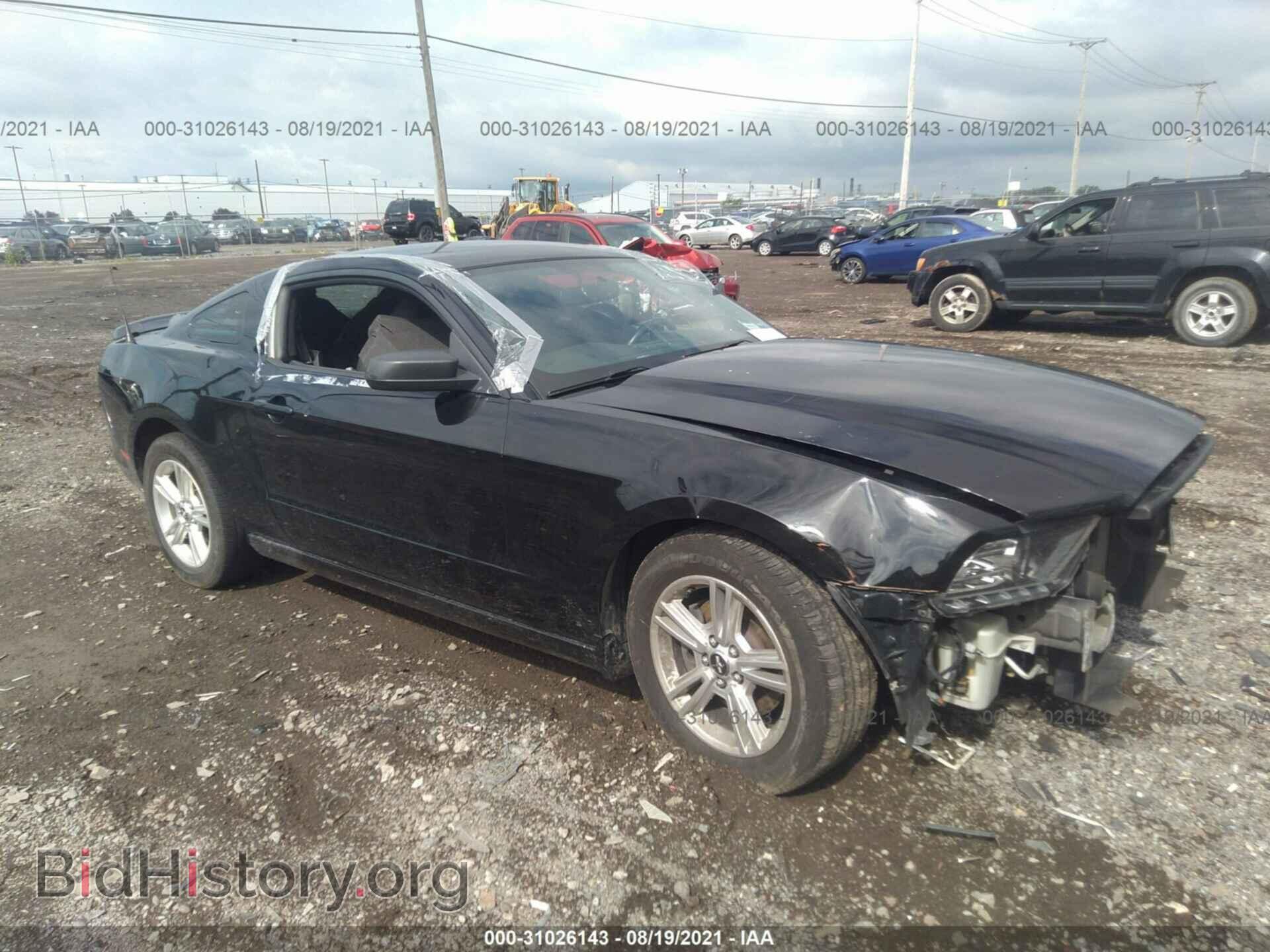 Photo 1ZVBP8AM2E5314972 - FORD MUSTANG 2014