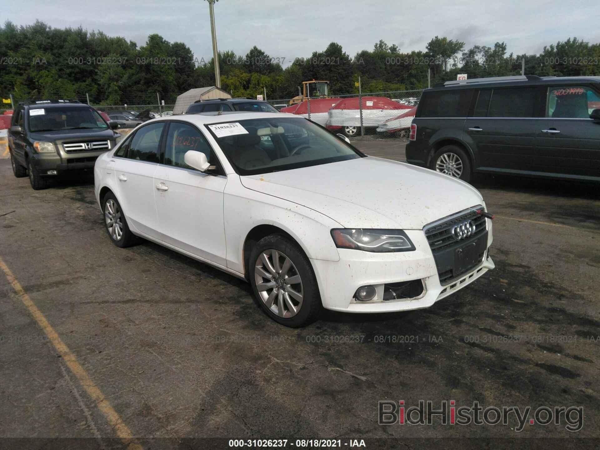 Фотография WAUFFAFL8AN041994 - AUDI A4 2010