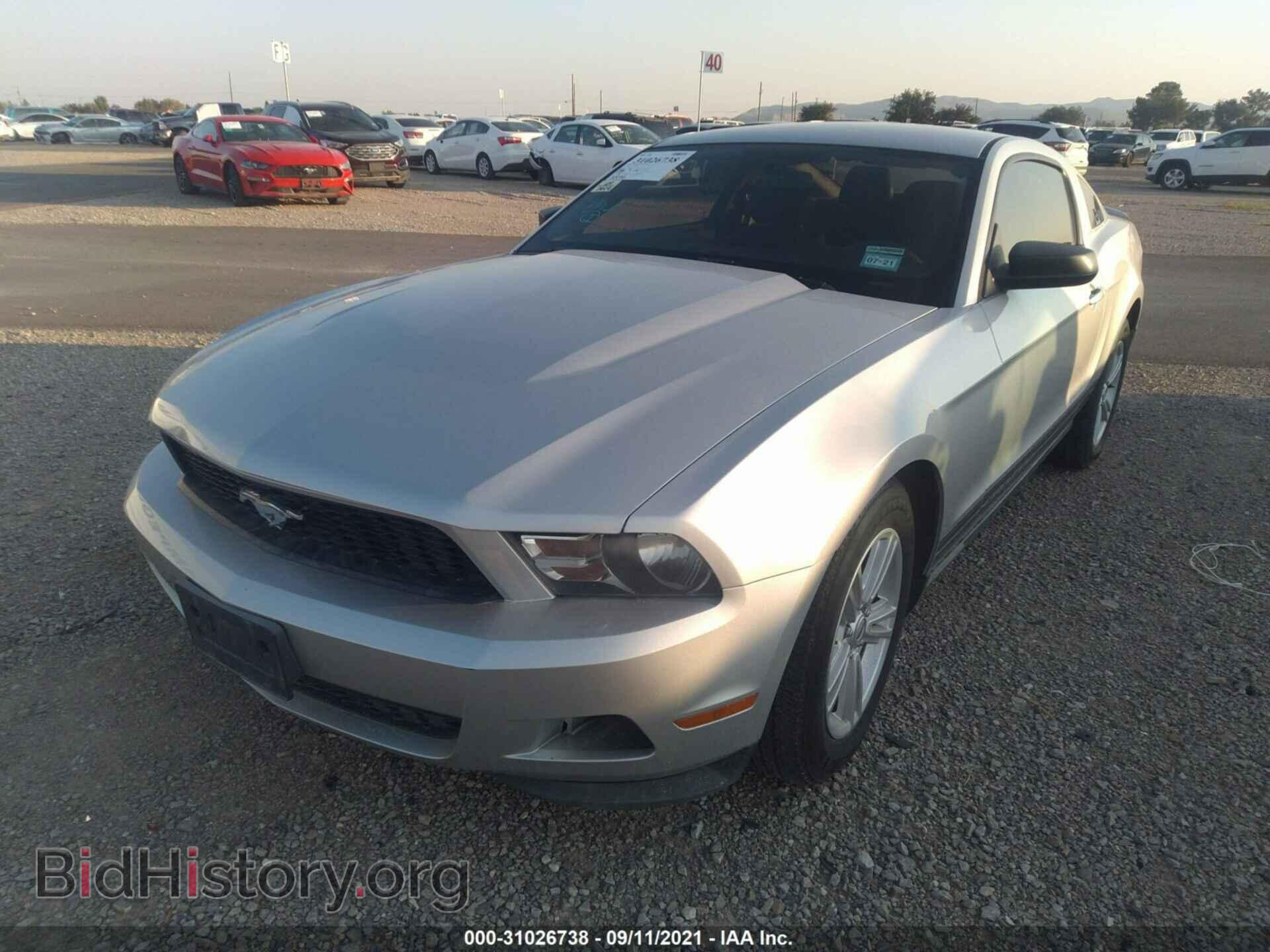 2012 FORD MUSTANG - VIN: 1ZVBP8AM2C5281663 - Фото 2