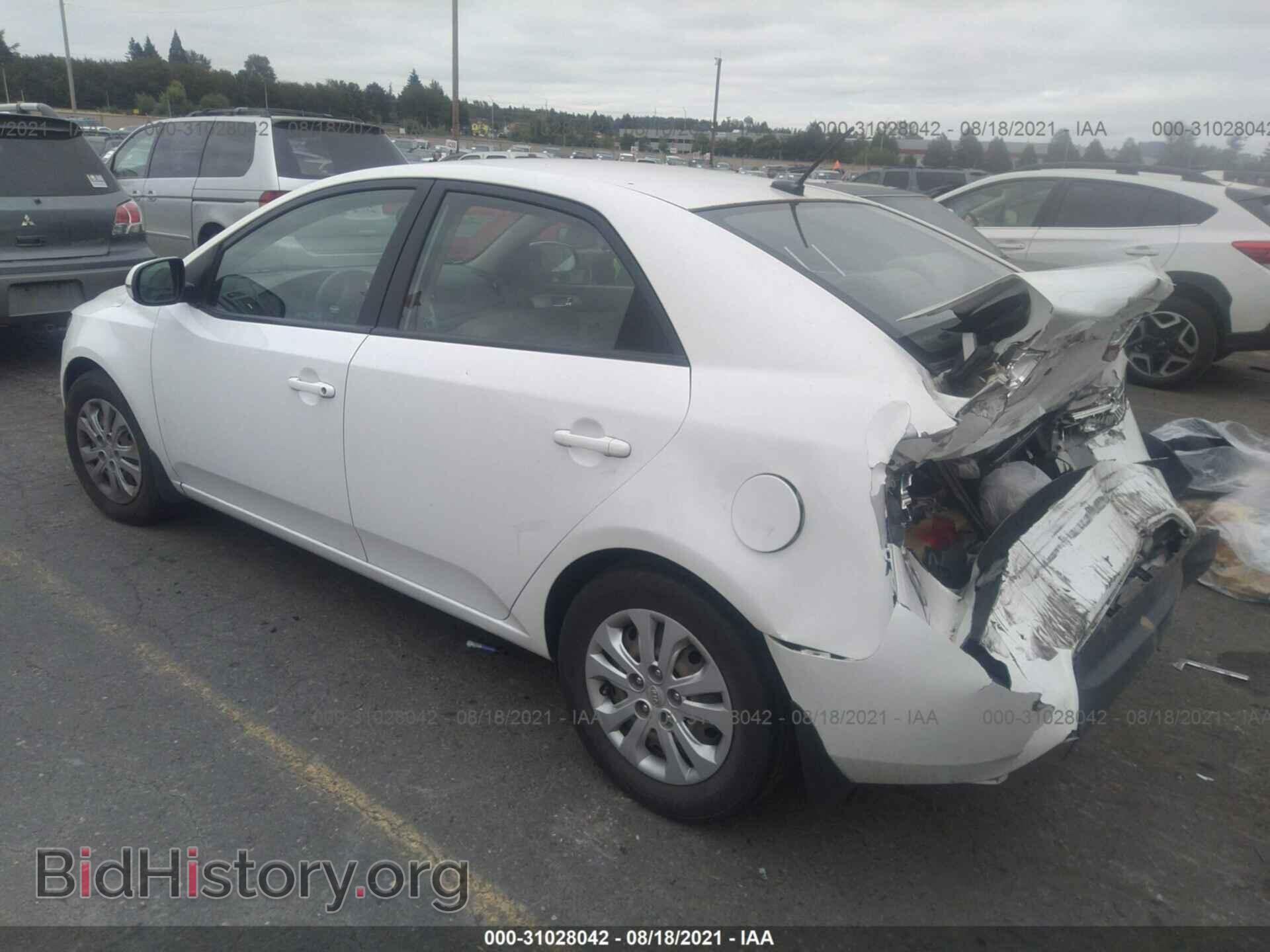 2013 KIA FORTE - VIN: KNAFU4A21D5725389 - Фото 3
