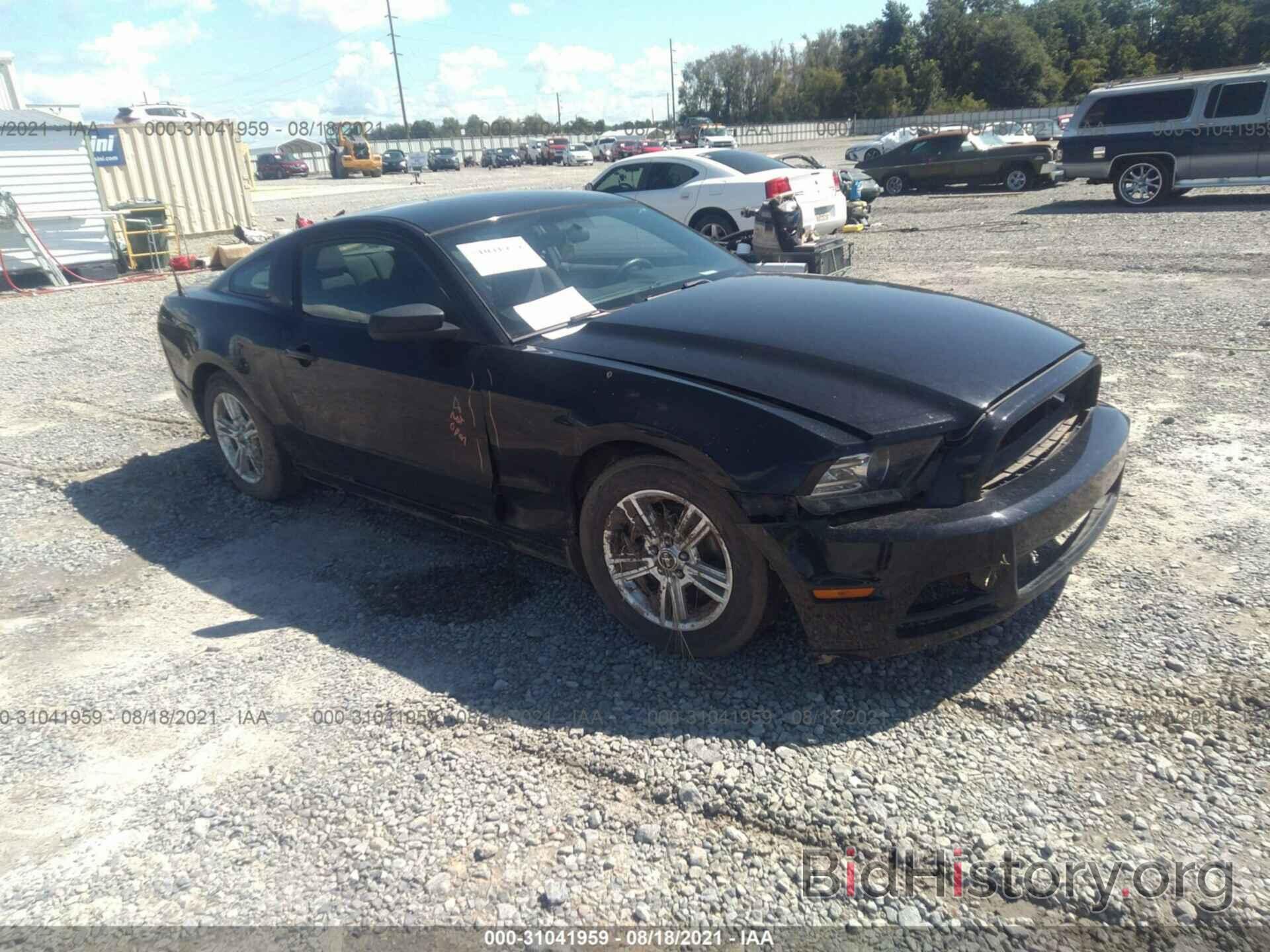 Photo 1ZVBP8AM6E5303277 - FORD MUSTANG 2014