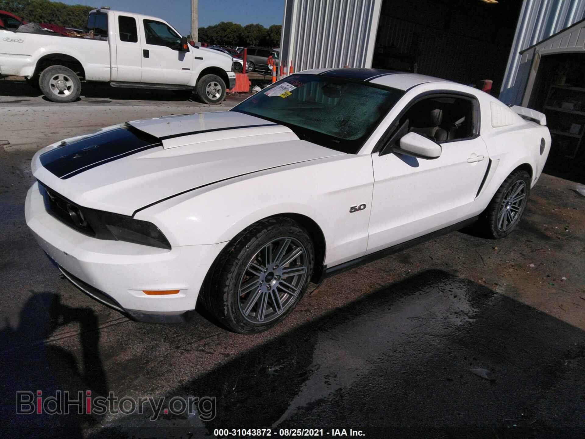 2012 FORD MUSTANG - VIN: 1ZVBP8CF3C5253031 - Фото 2