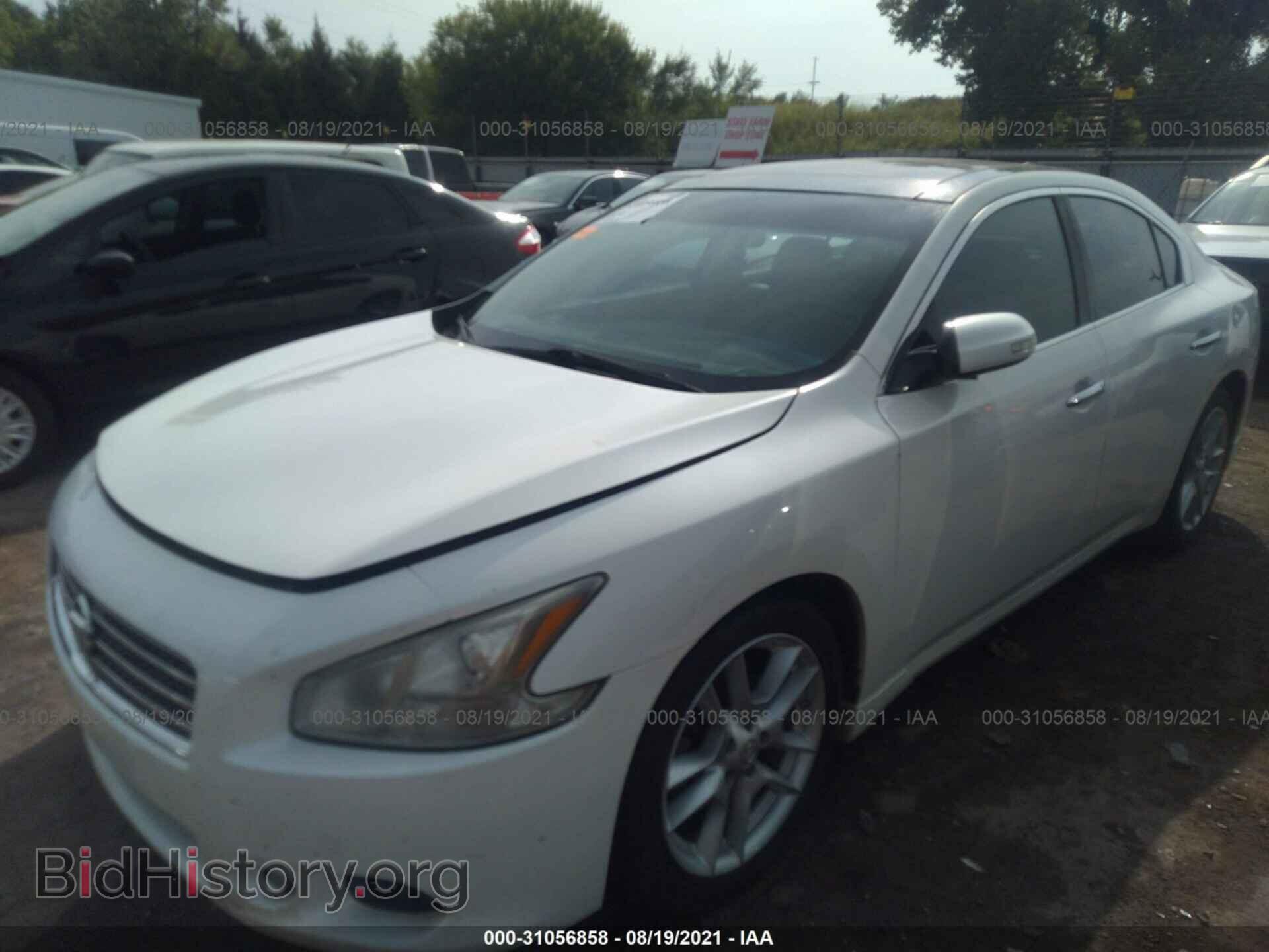 2009 NISSAN MAXIMA - VIN: 1N4AA51E69C848006 - Фото 2