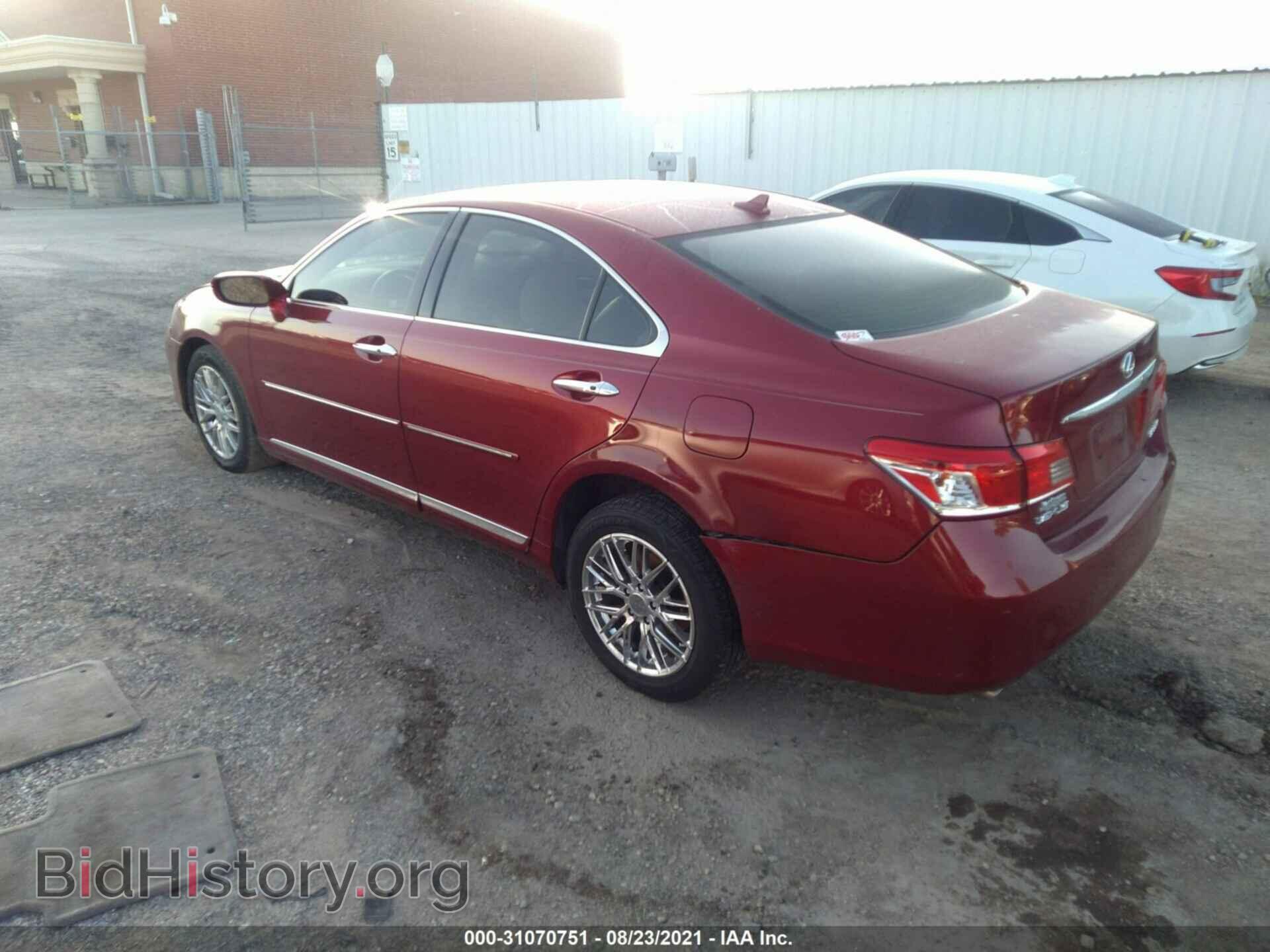 2010 LEXUS ES 350 - VIN: JTHBK1EG2A2359594 - Фото 3