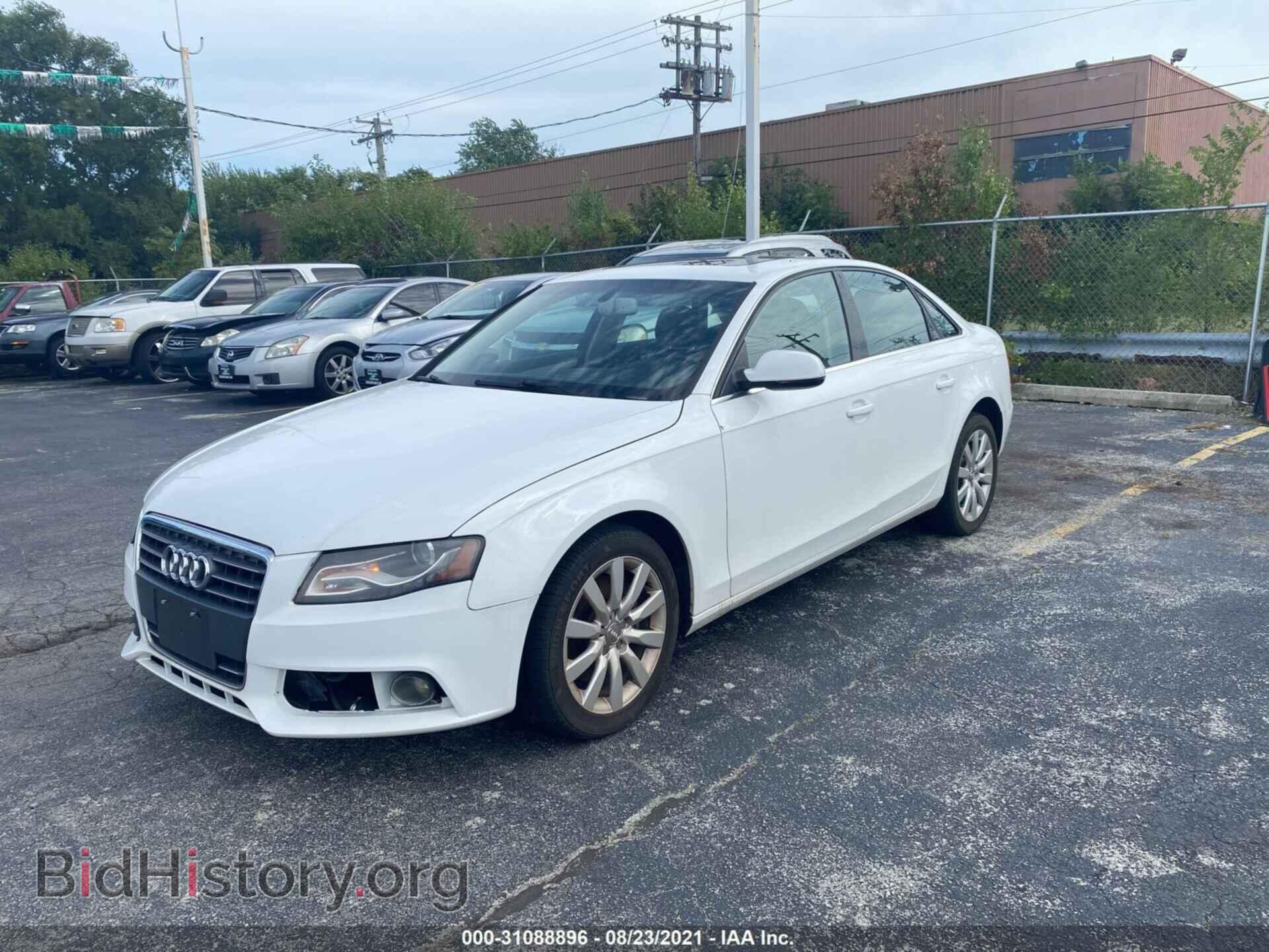 2011 AUDI A4 - VIN: WAUEFAFL5BN039424 - Фото 2