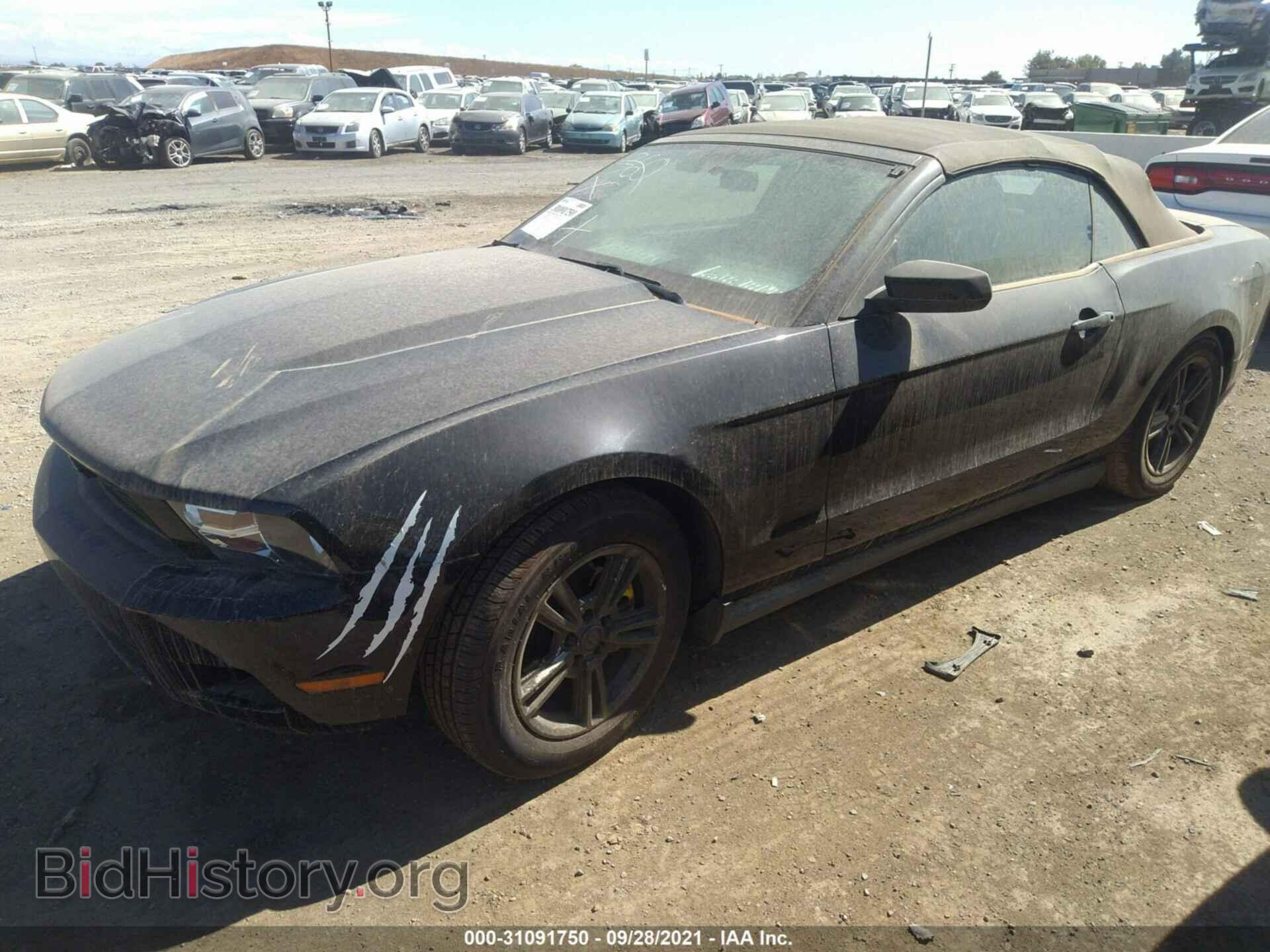 2012 FORD MUSTANG - VIN: 1ZVBP8EM9C5225004 - Фото 2
