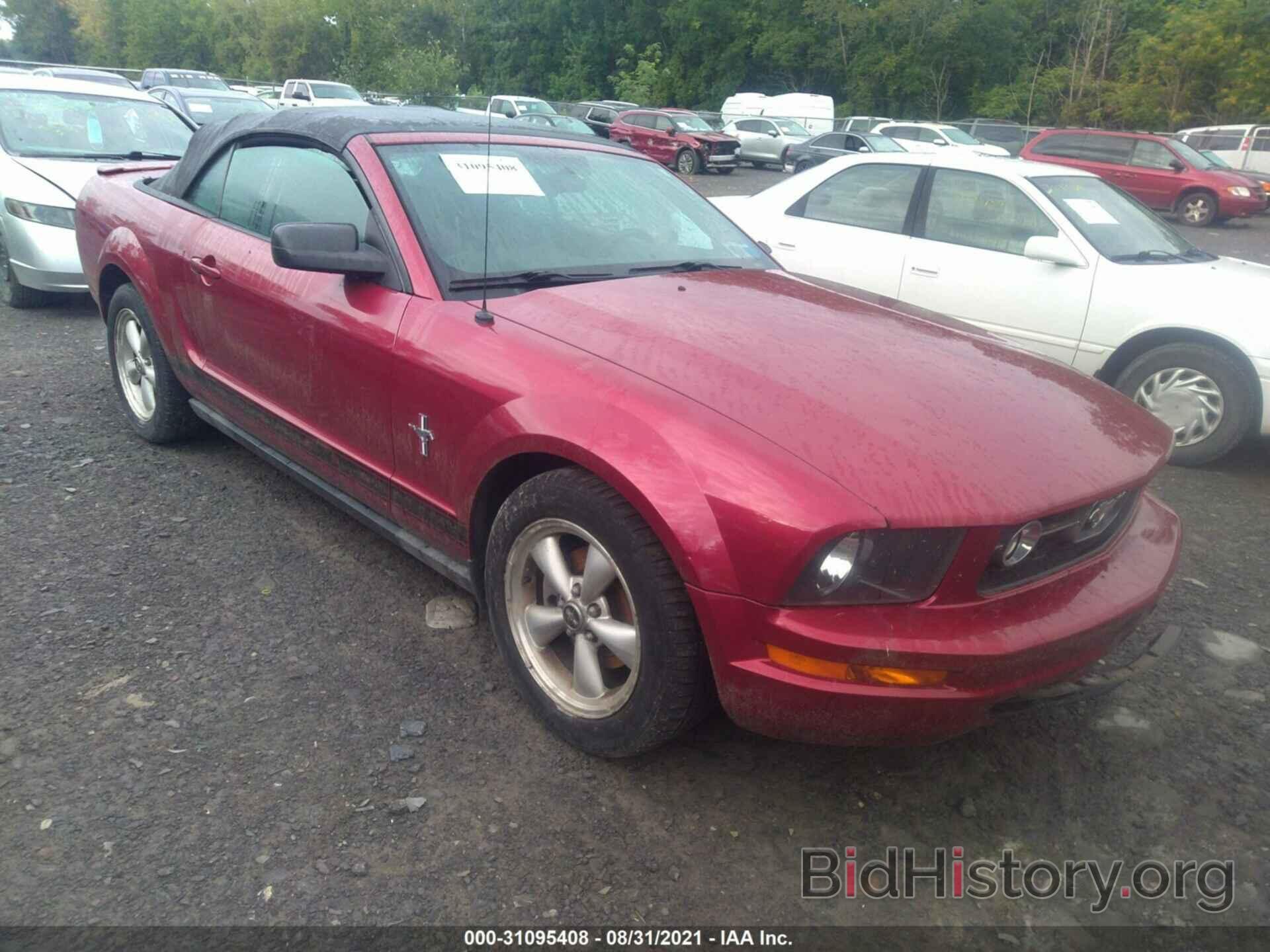 Photo 1ZVHT84N175257306 - FORD MUSTANG 2007
