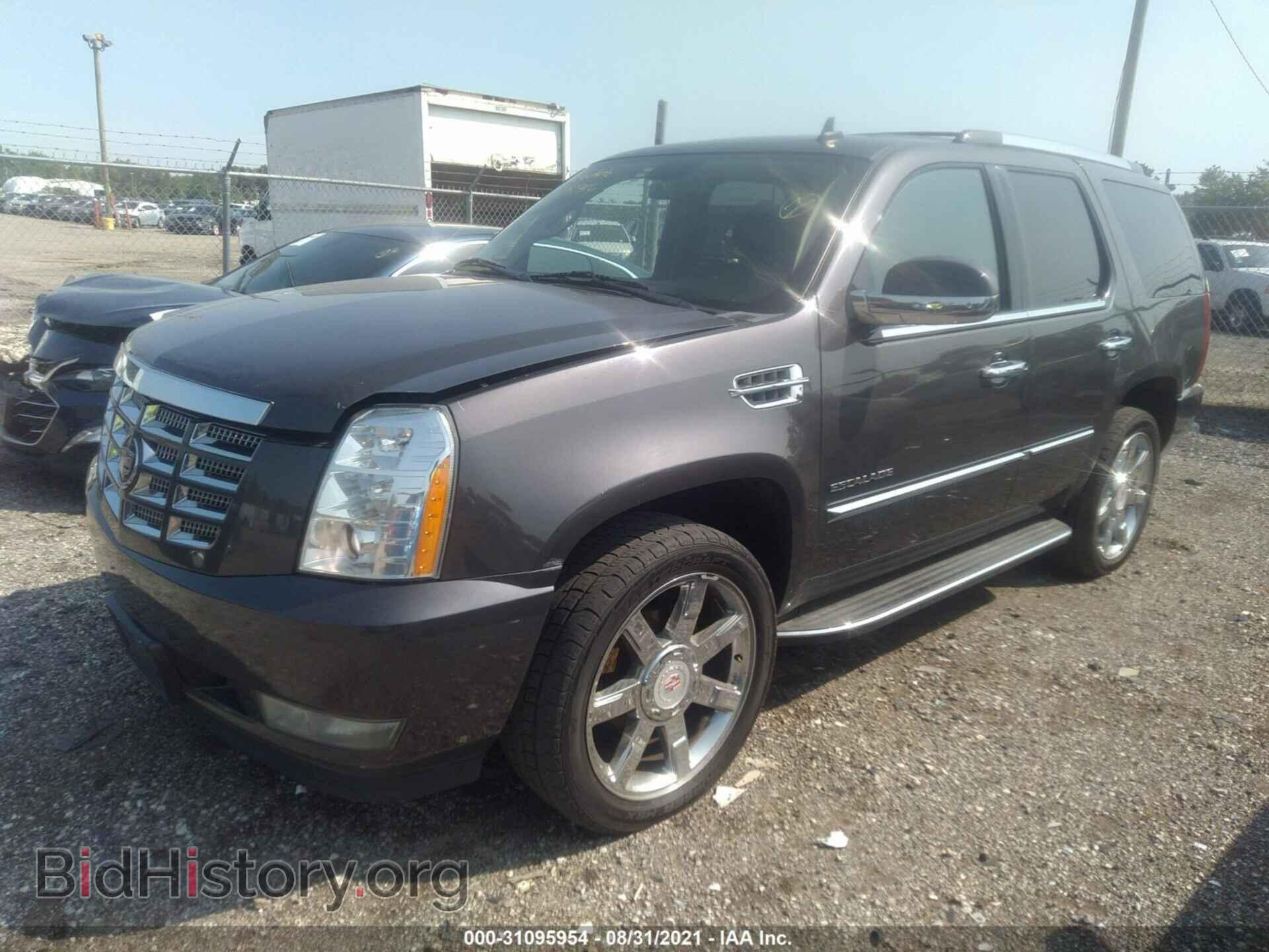 2011 CADILLAC ESCALADE - VIN: 1GYS4BEFXBR162037 - Фото 2