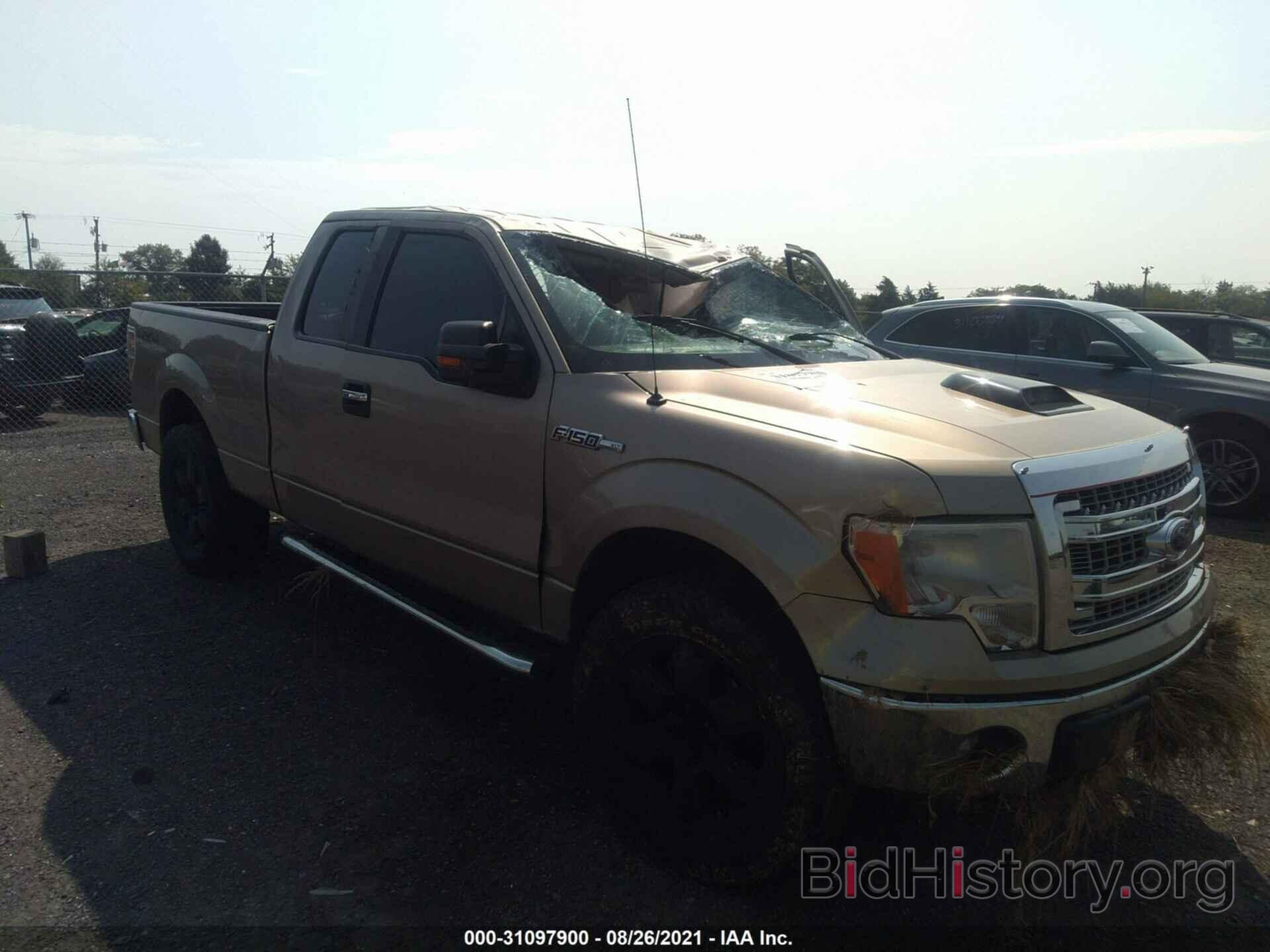 Фотография 1FTFX1EF9DFB96953 - FORD F-150 2013