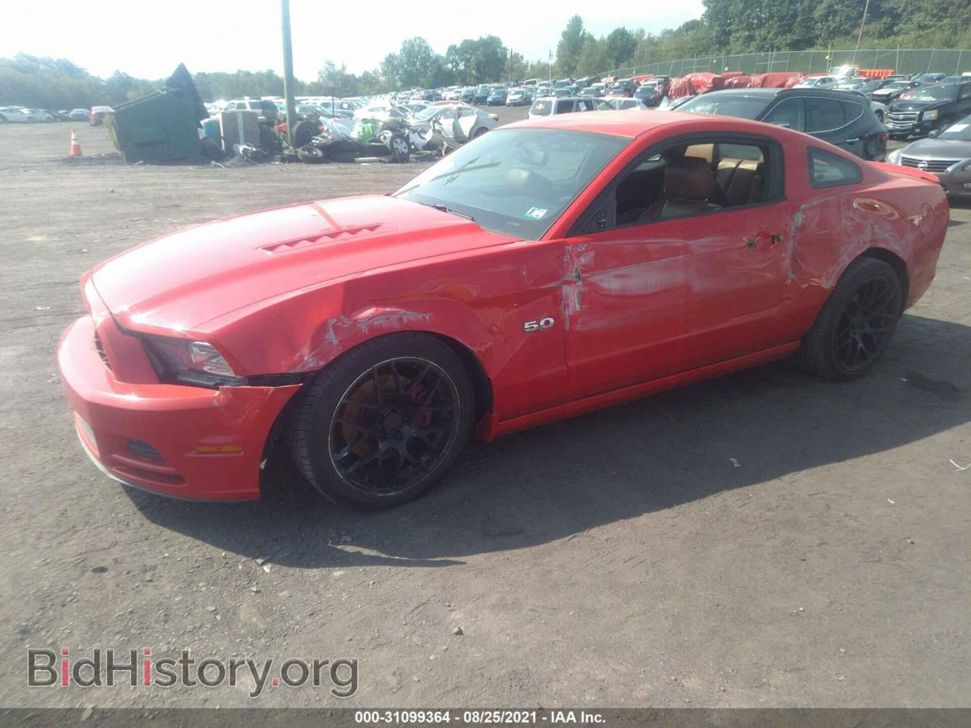 2013 FORD MUSTANG - VIN: 1ZVBP8CF3D5250471 - Фото 2