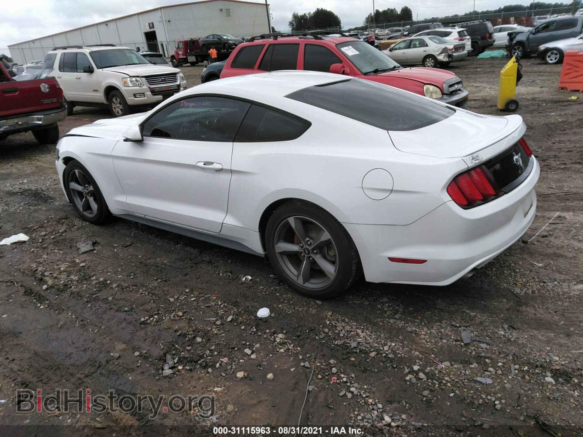 2016 FORD MUSTANG - VIN: 1FA6P8AM0G5261864 - Фото 3