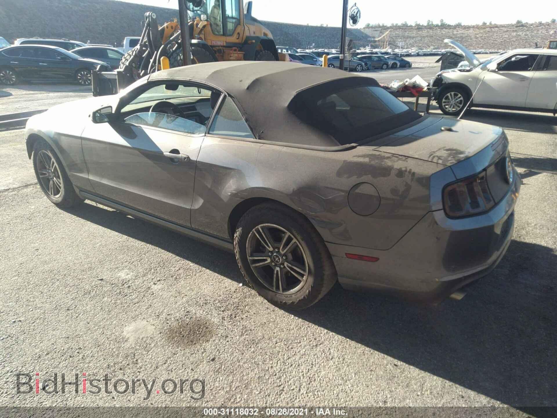2013 FORD MUSTANG - VIN: 1ZVBP8EM9D5202890 - Фото 3