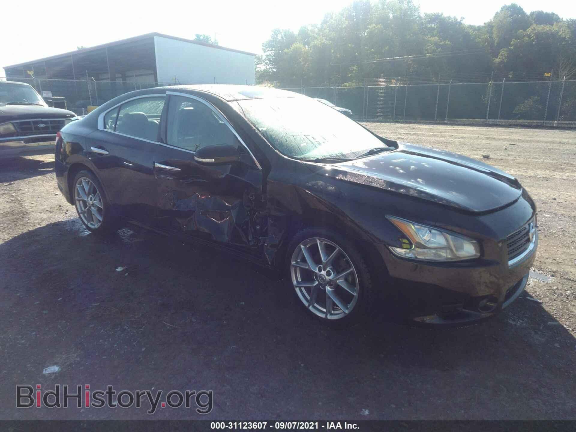 Фотография 1N4AA5AP3BC804861 - NISSAN MAXIMA 2011