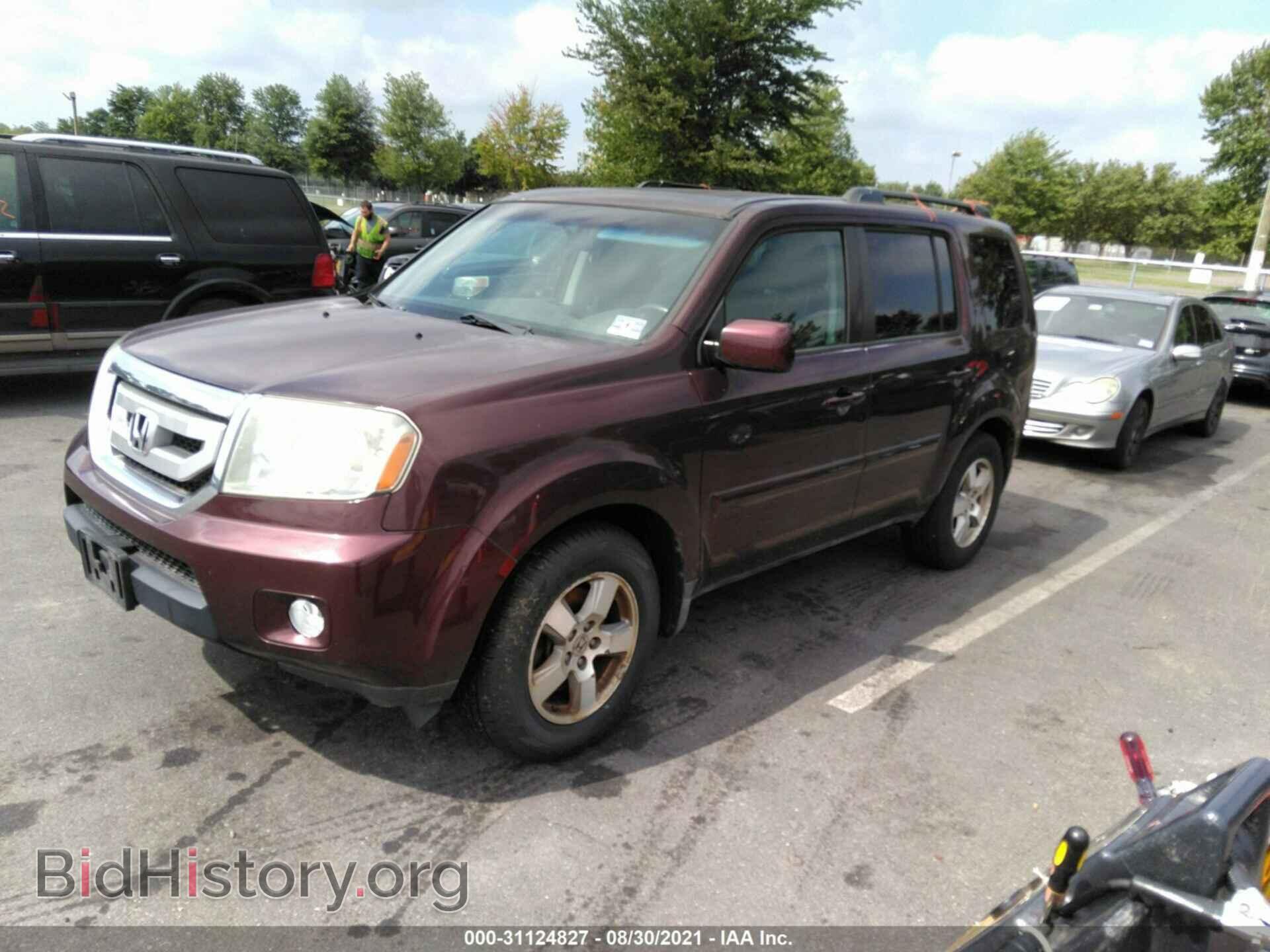 2010 HONDA PILOT - VIN: 5FNYF4H44AB004846 - Фото 2