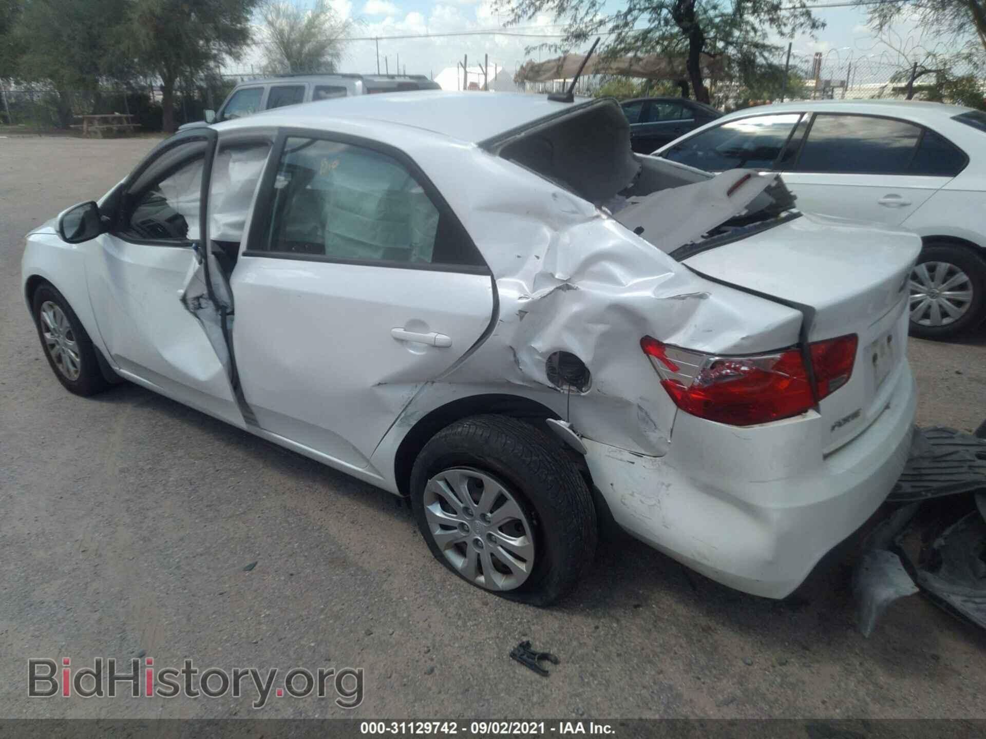 2012 KIA FORTE - VIN: KNAFU4A21C5636324 - Фото 3