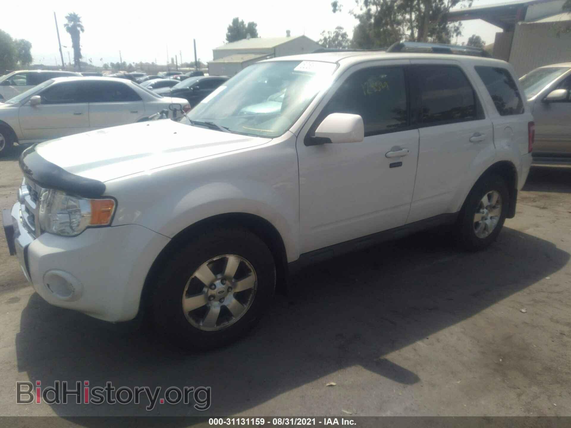 2011 FORD ESCAPE - VIN: 1FMCU9EG1BKC65850 - Фото 2