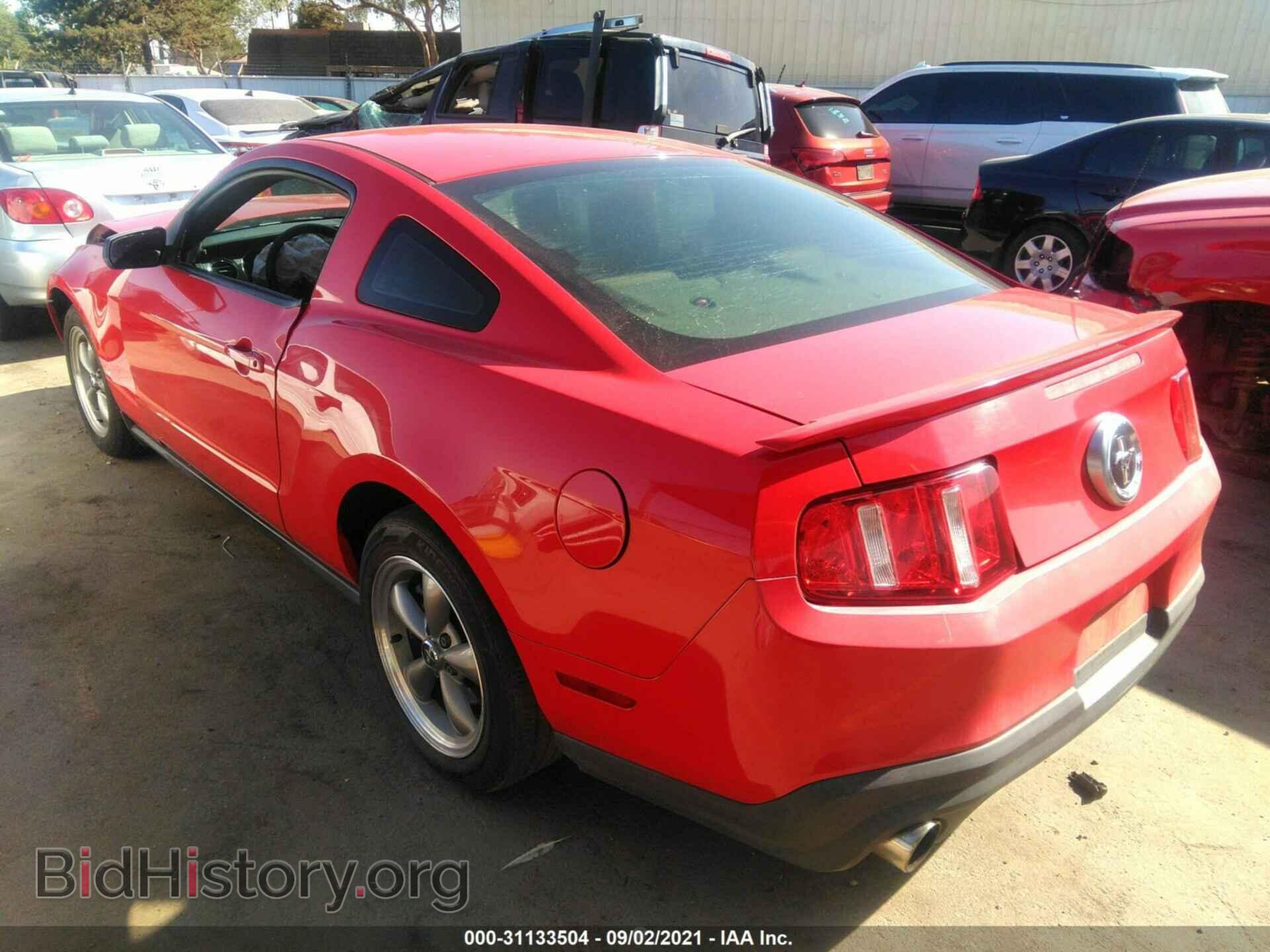 2010 FORD MUSTANG - VIN: 1ZVBP8AN8A5127951 - Фото 3
