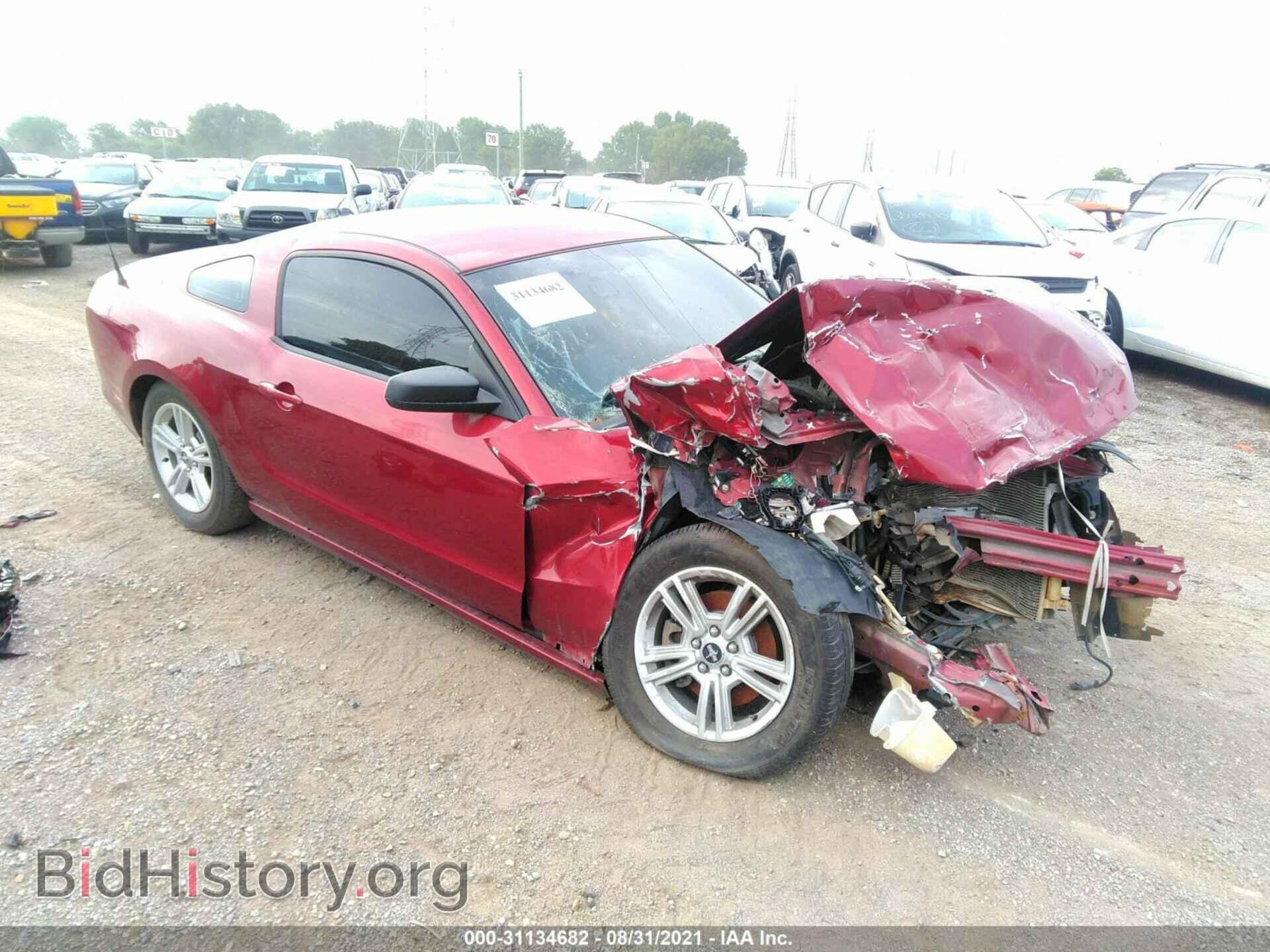 Photo 1ZVBP8AMXE5314122 - FORD MUSTANG 2014