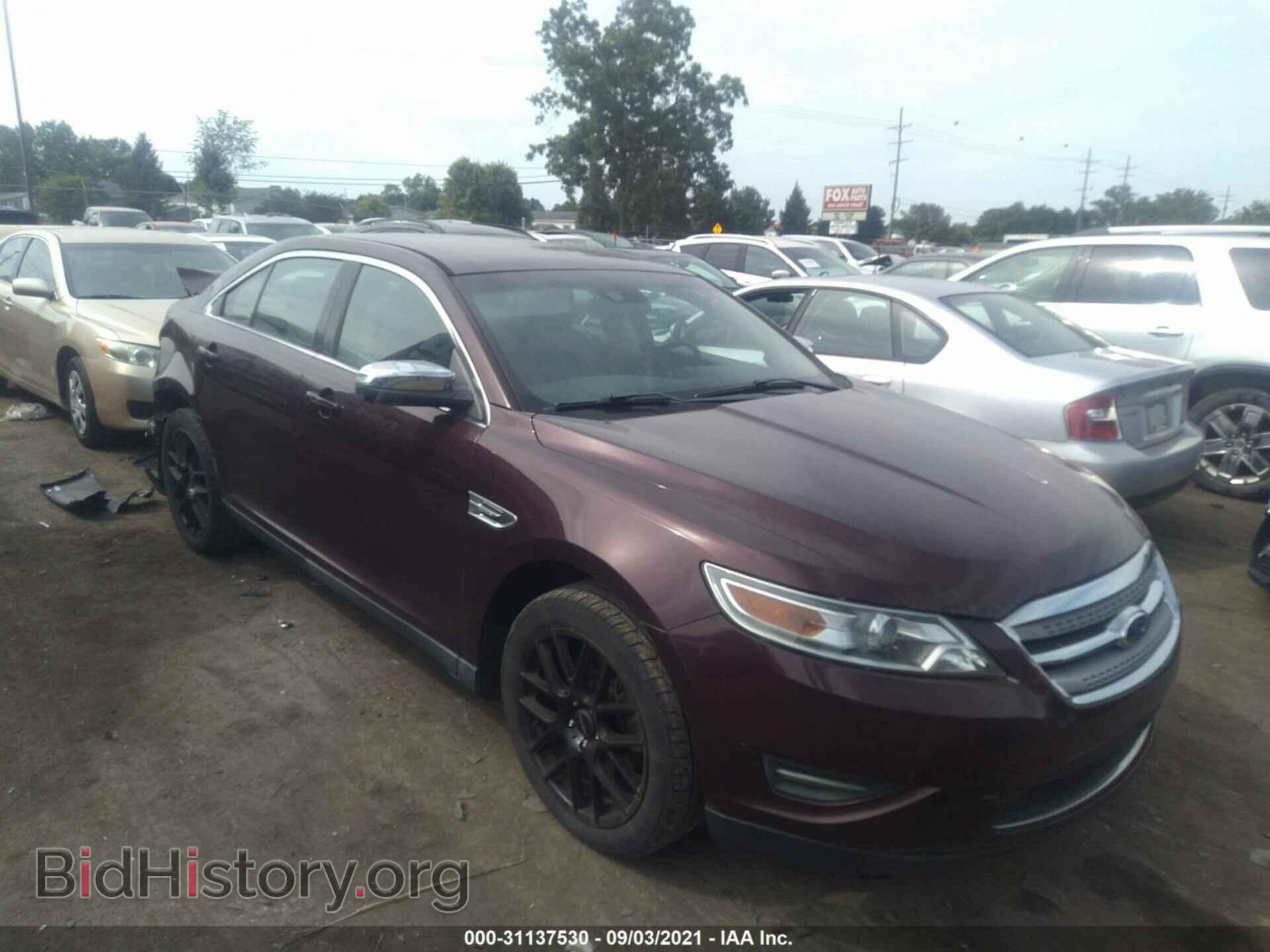 Фотография 1FAHP2FW1BG123604 - FORD TAURUS 2011