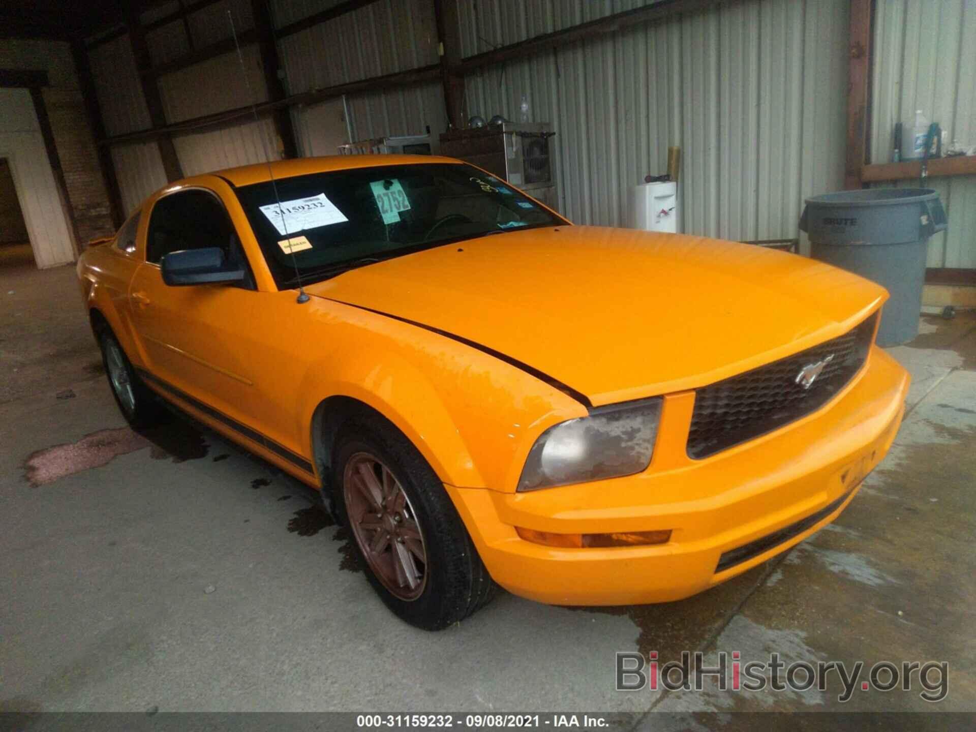Photo 1ZVHT80N385196533 - FORD MUSTANG 2008