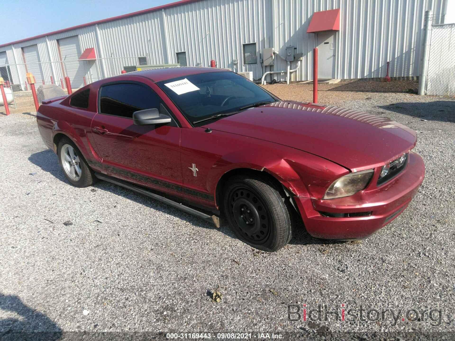 Photo 1ZVFT80N575219347 - FORD MUSTANG 2007